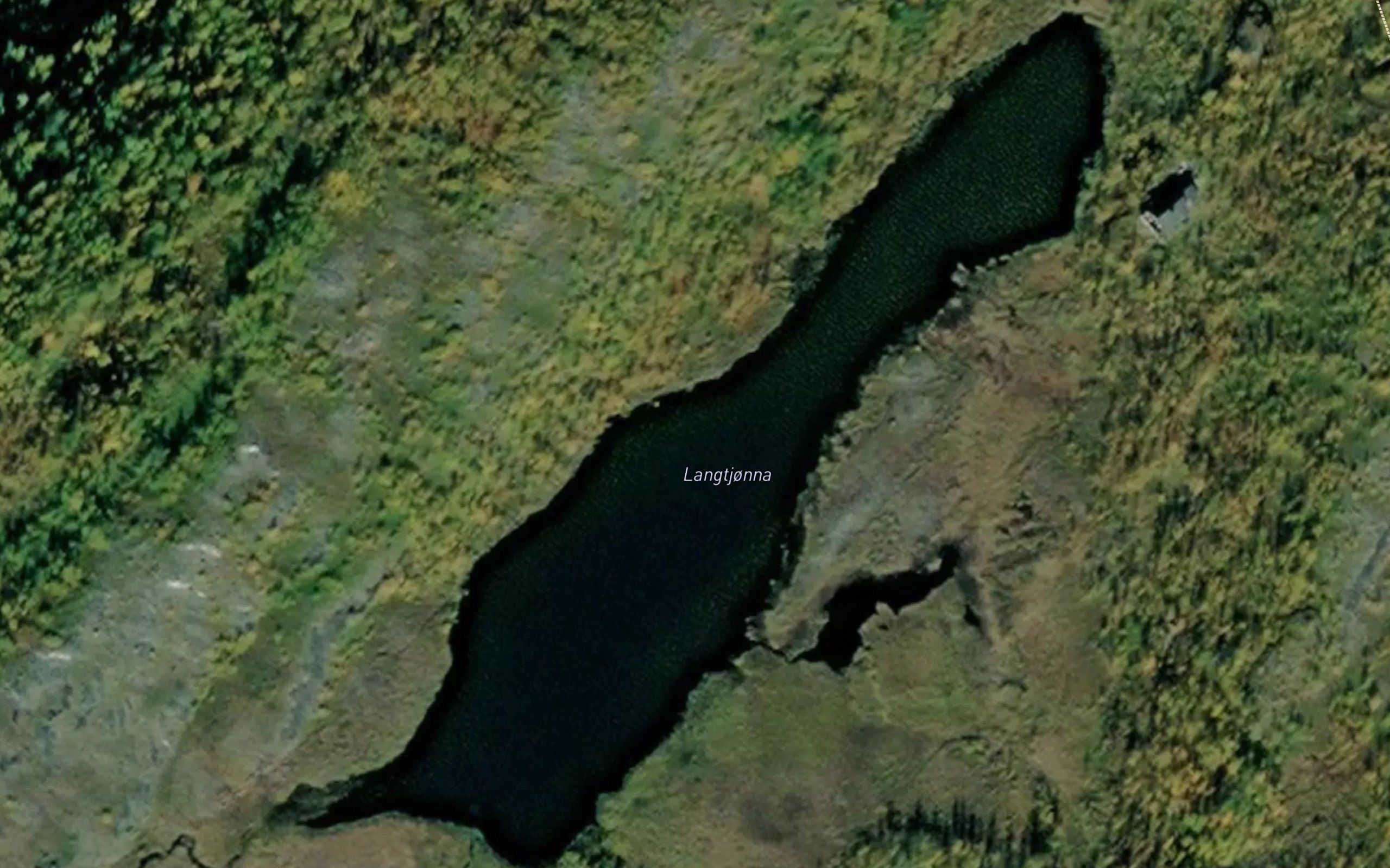 Langtjonna