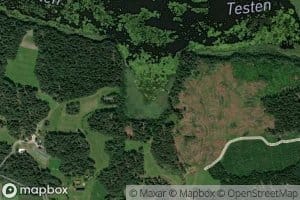 Testen
