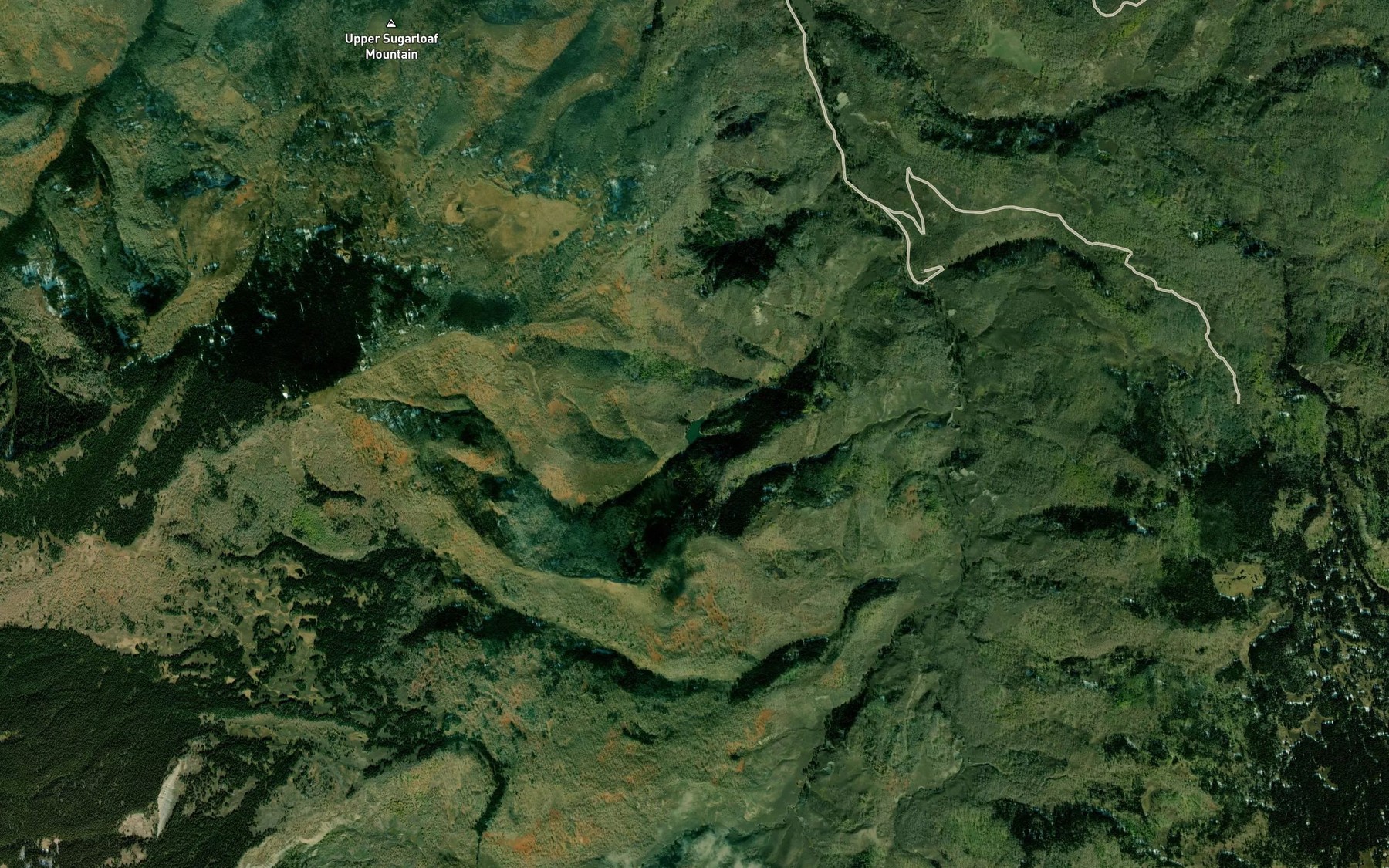 Satellite map of the Berry Lake