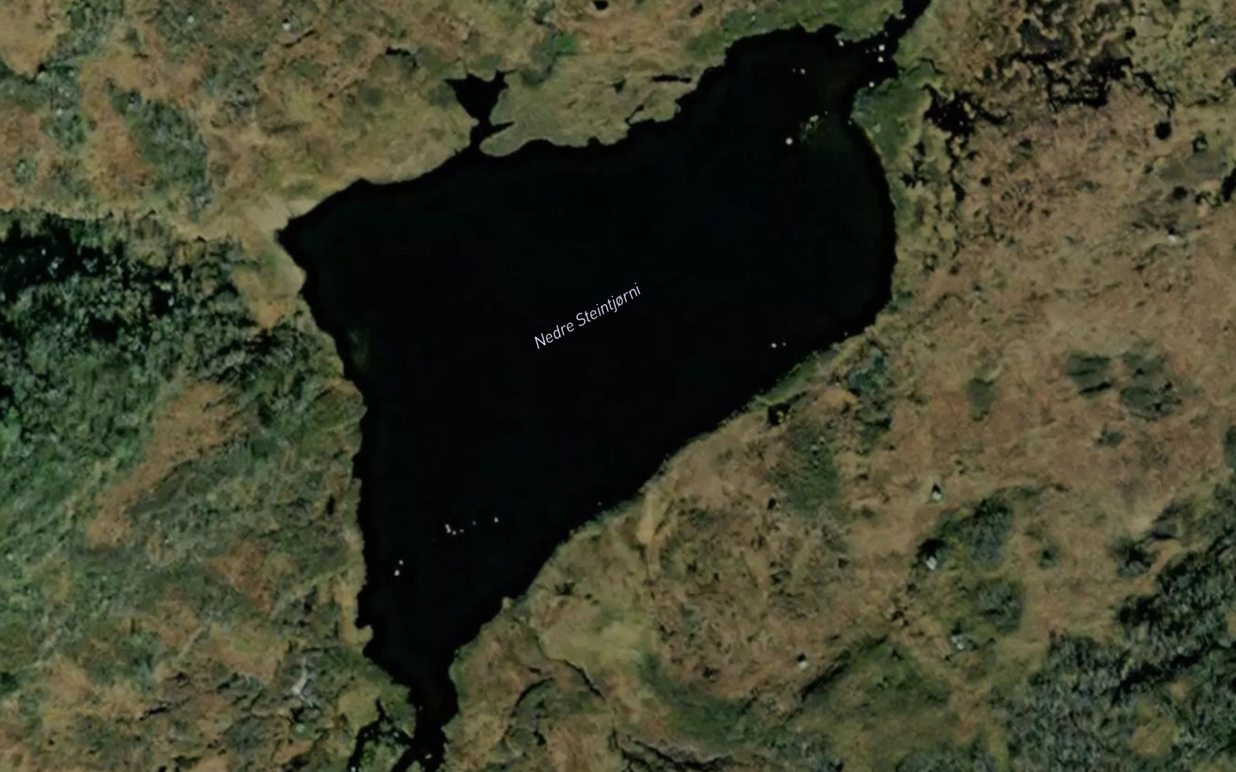 Satellite map of the Steintjorni,nedre