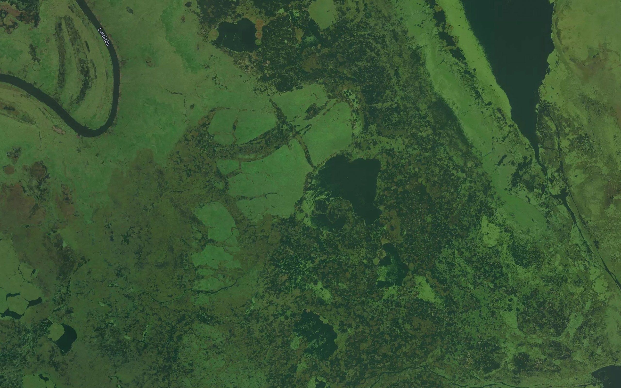 Kalangwa