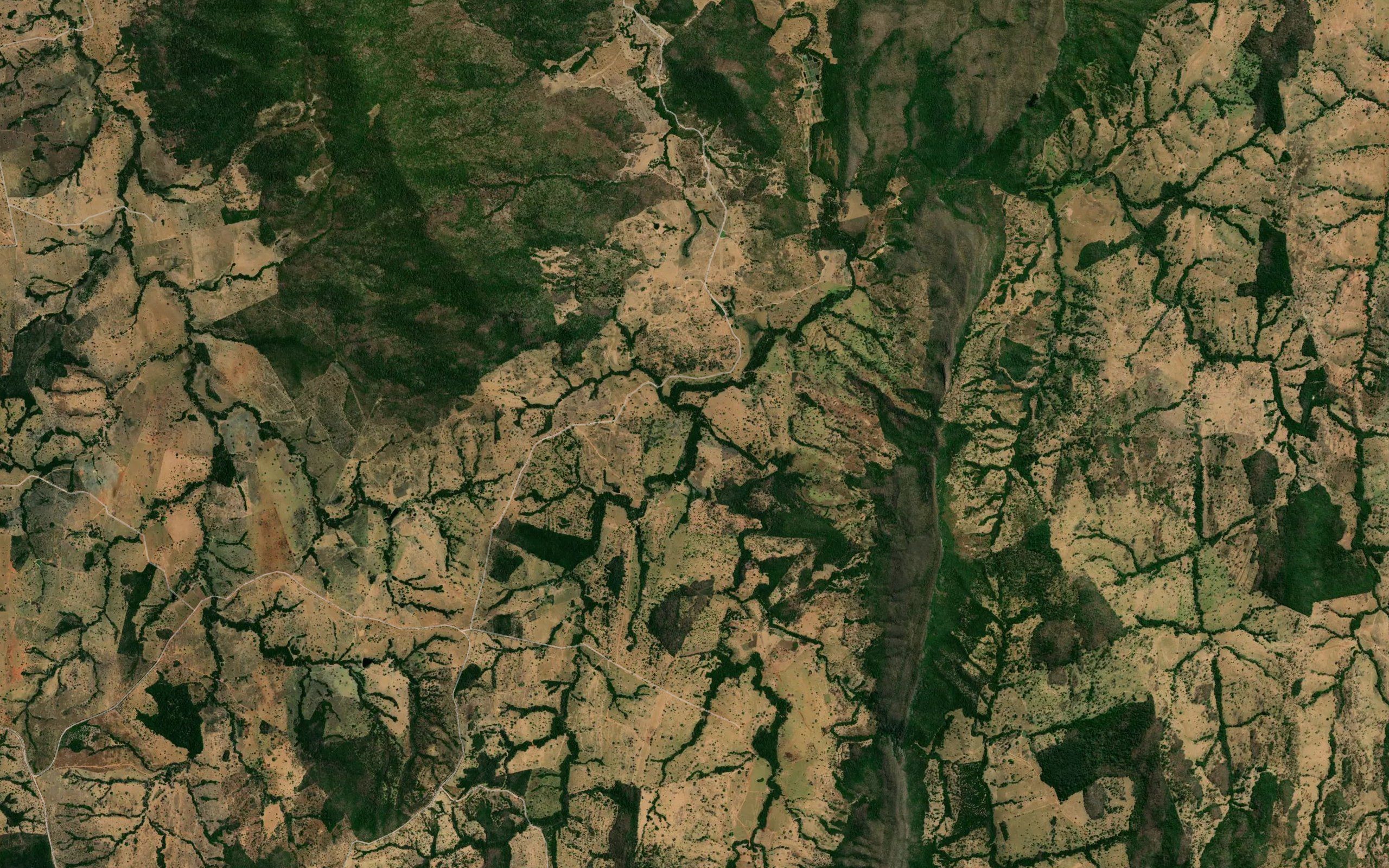Corrego do Palmito