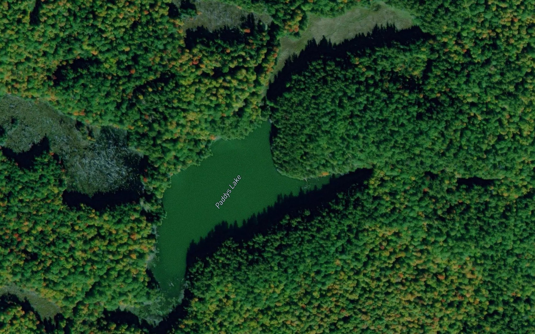 Satellite map of the Paddys Lake