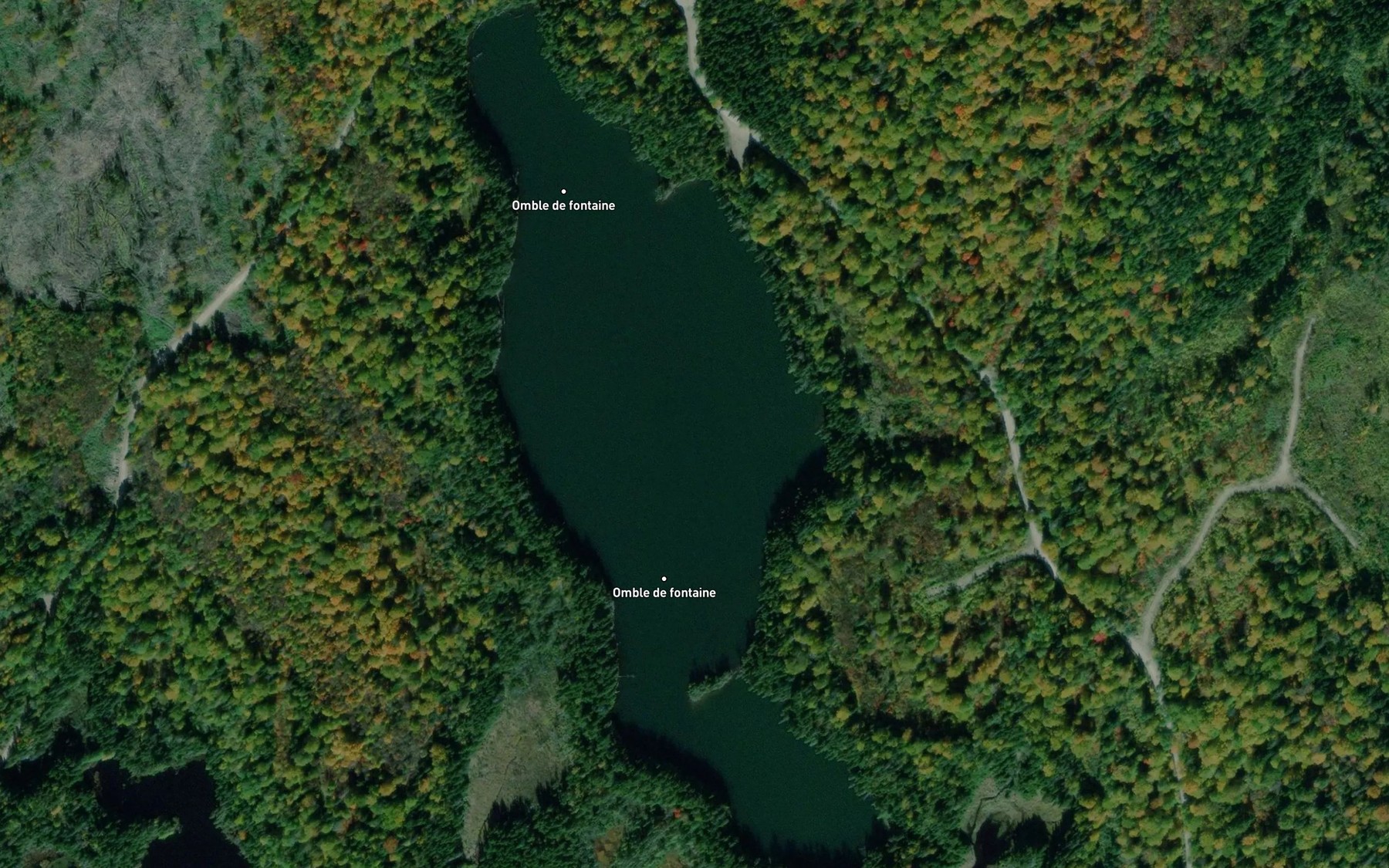 Satellite map of the Lac Sans Decharge