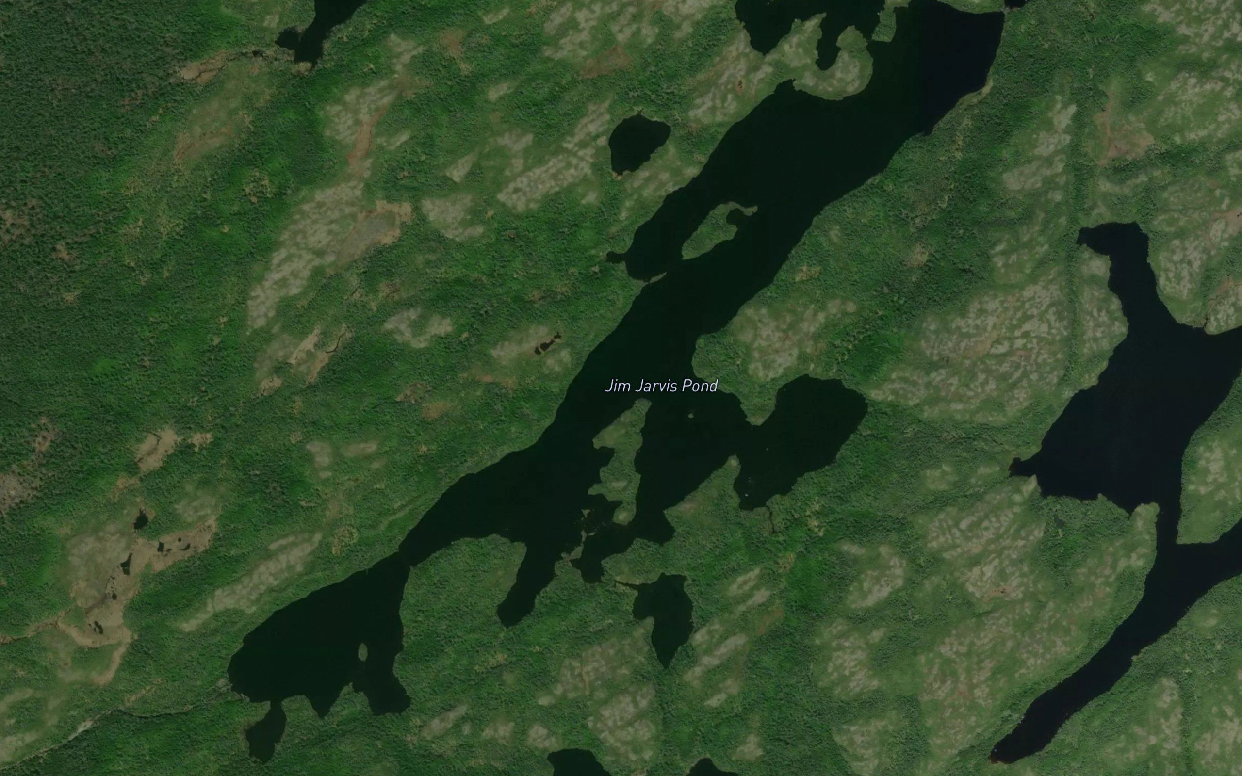 Jim Jarvis Pond