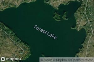 Forest Lake