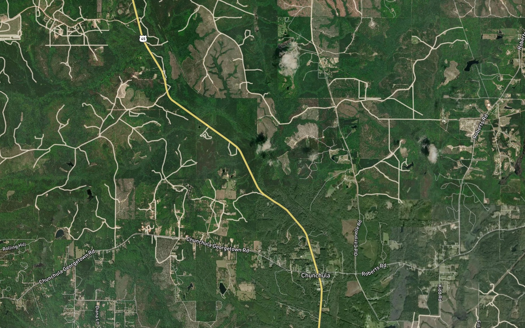 Satellite map of the Long Branch