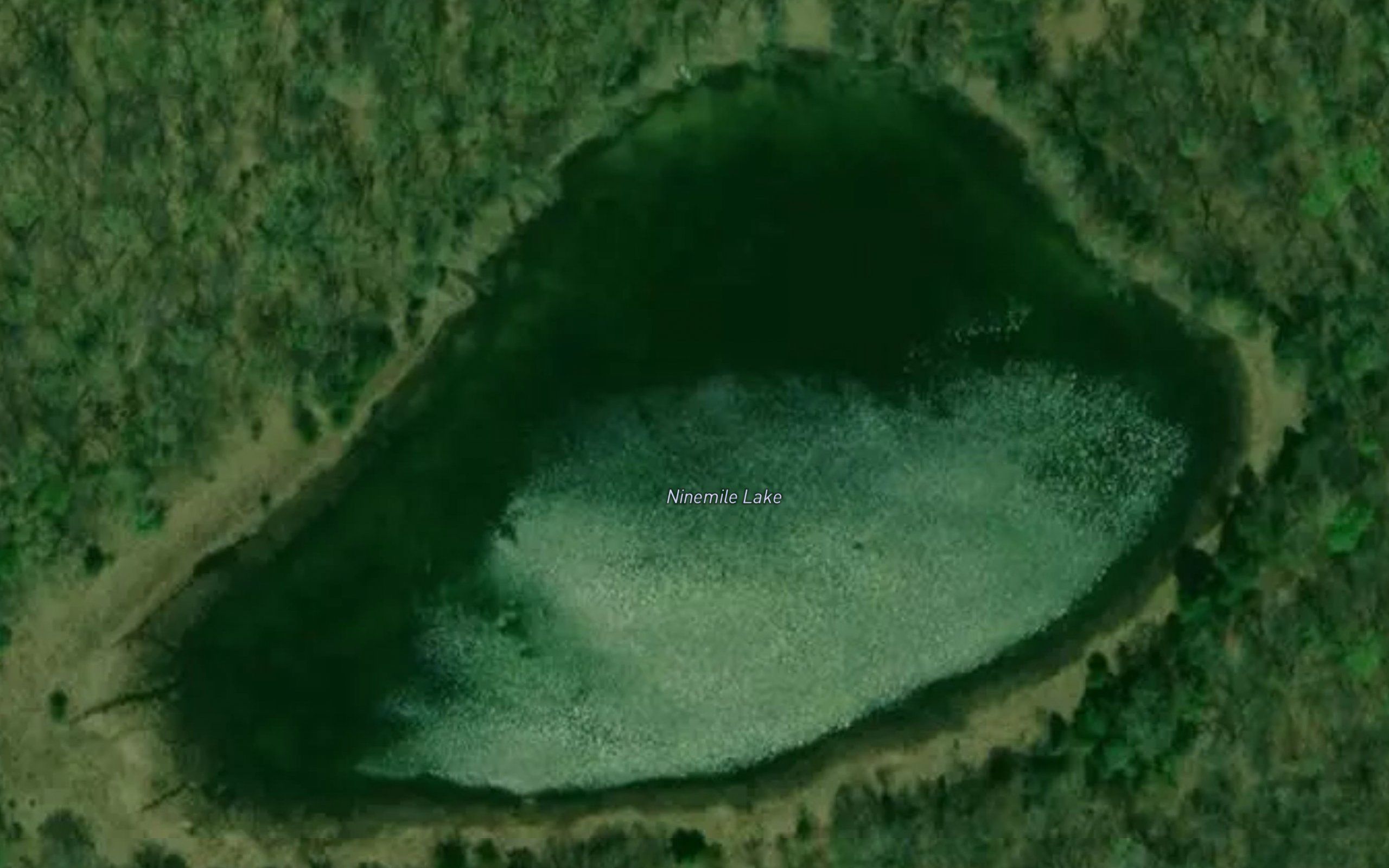 Ninemile Lake