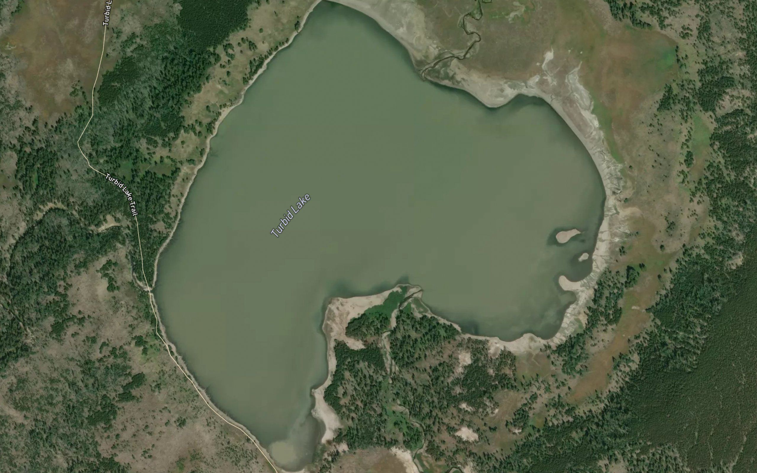 Turbid Lake
