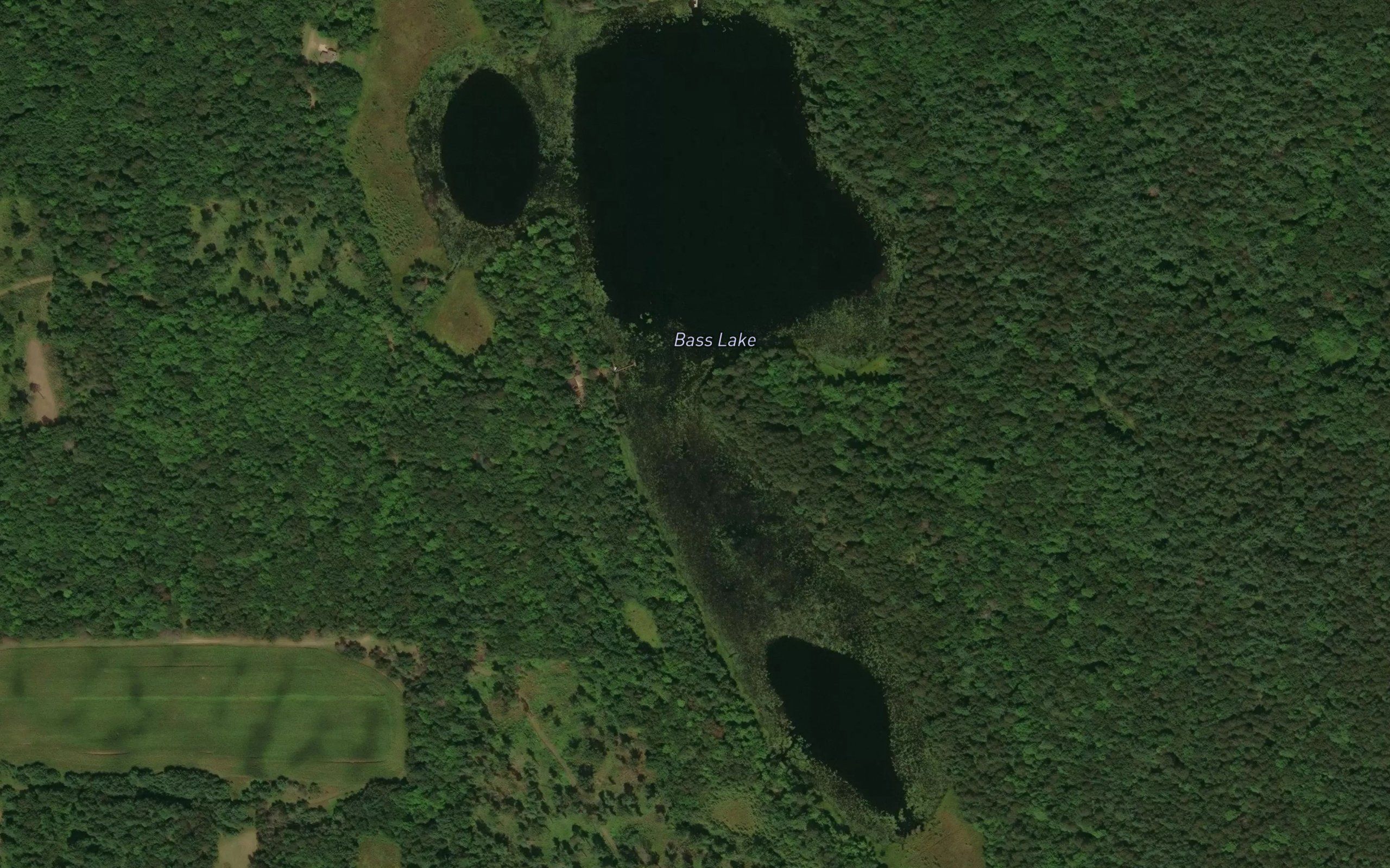 Bass Lake