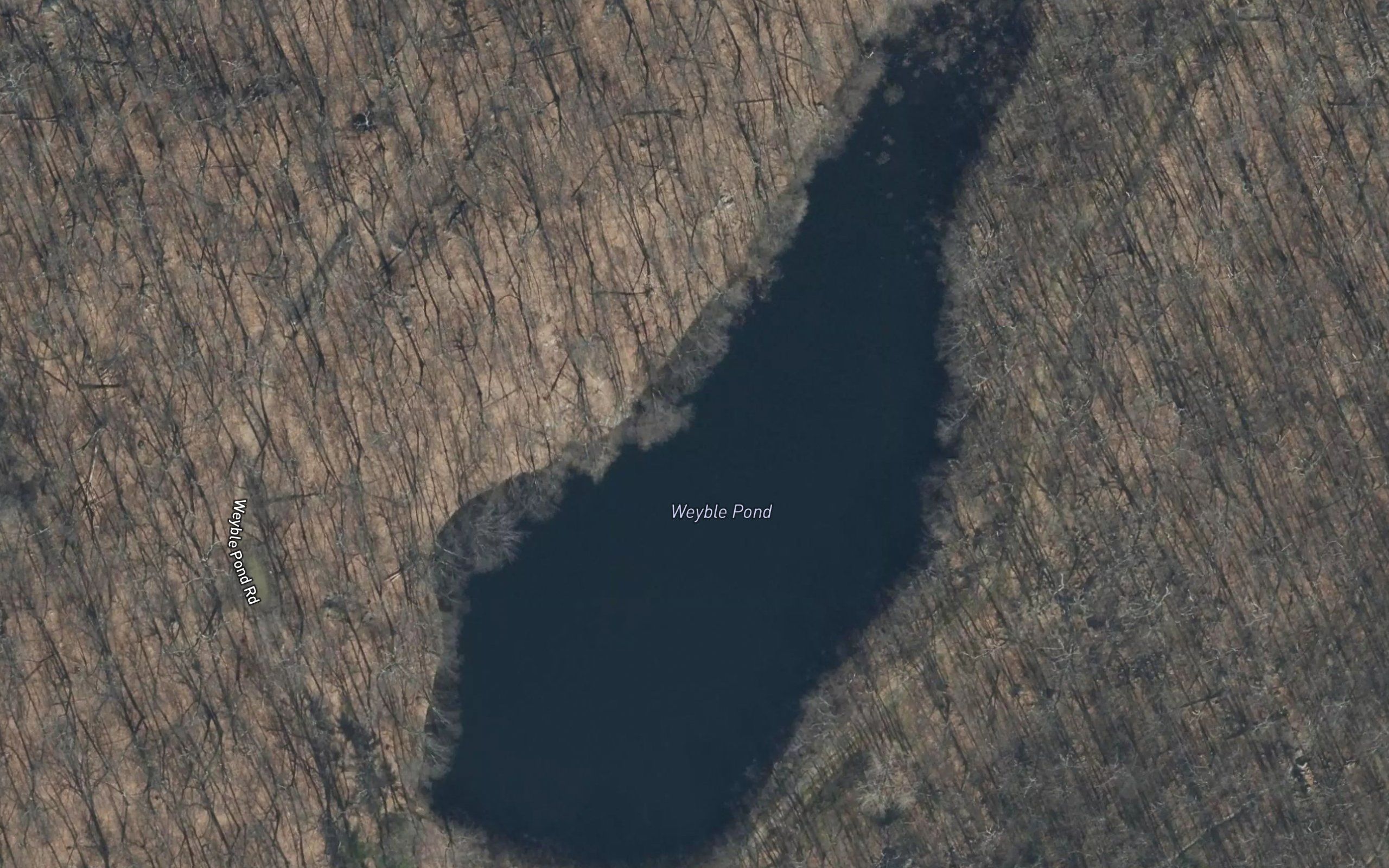 Weyble Pond