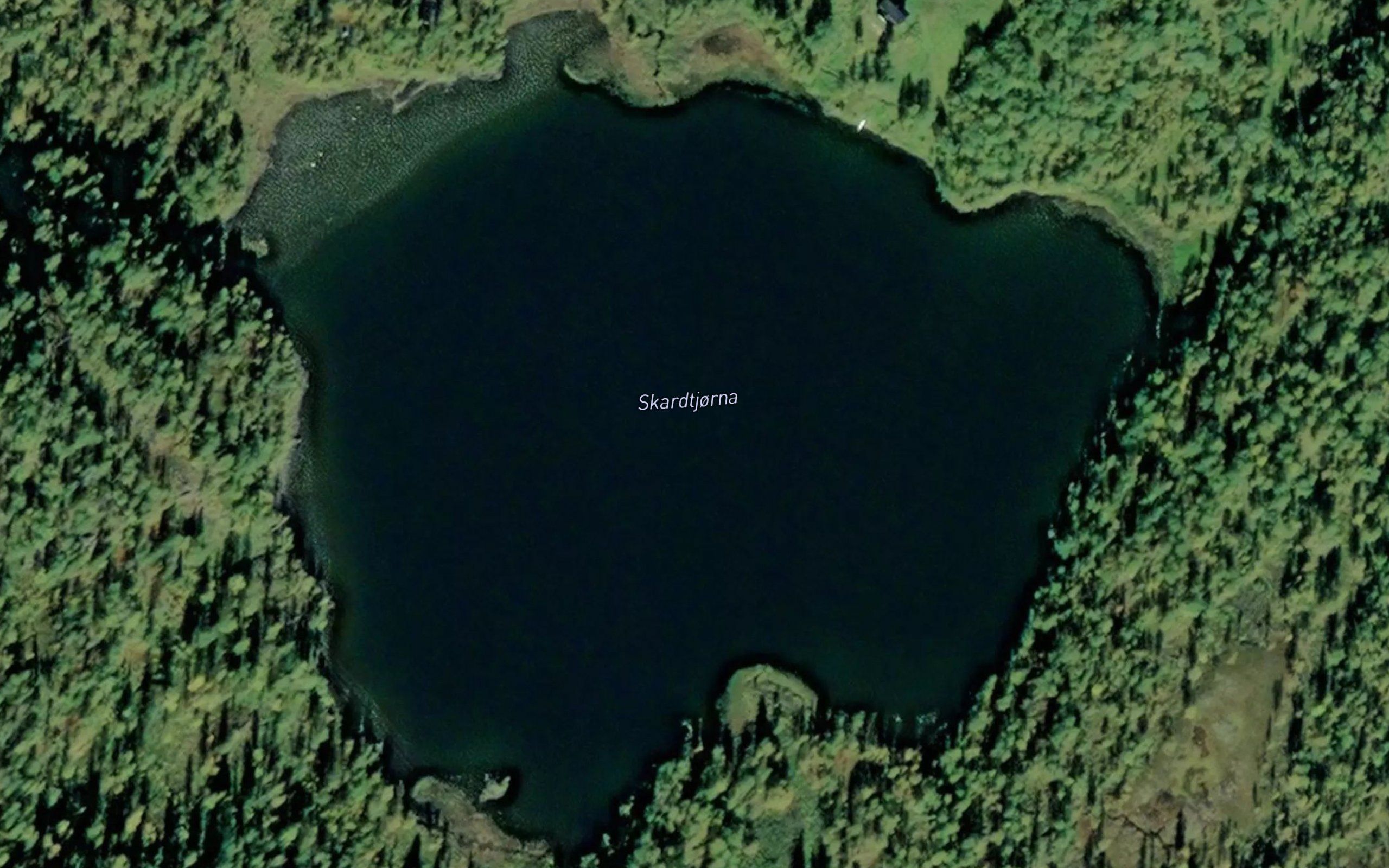 Skardtjorna