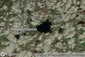 Holtjorni