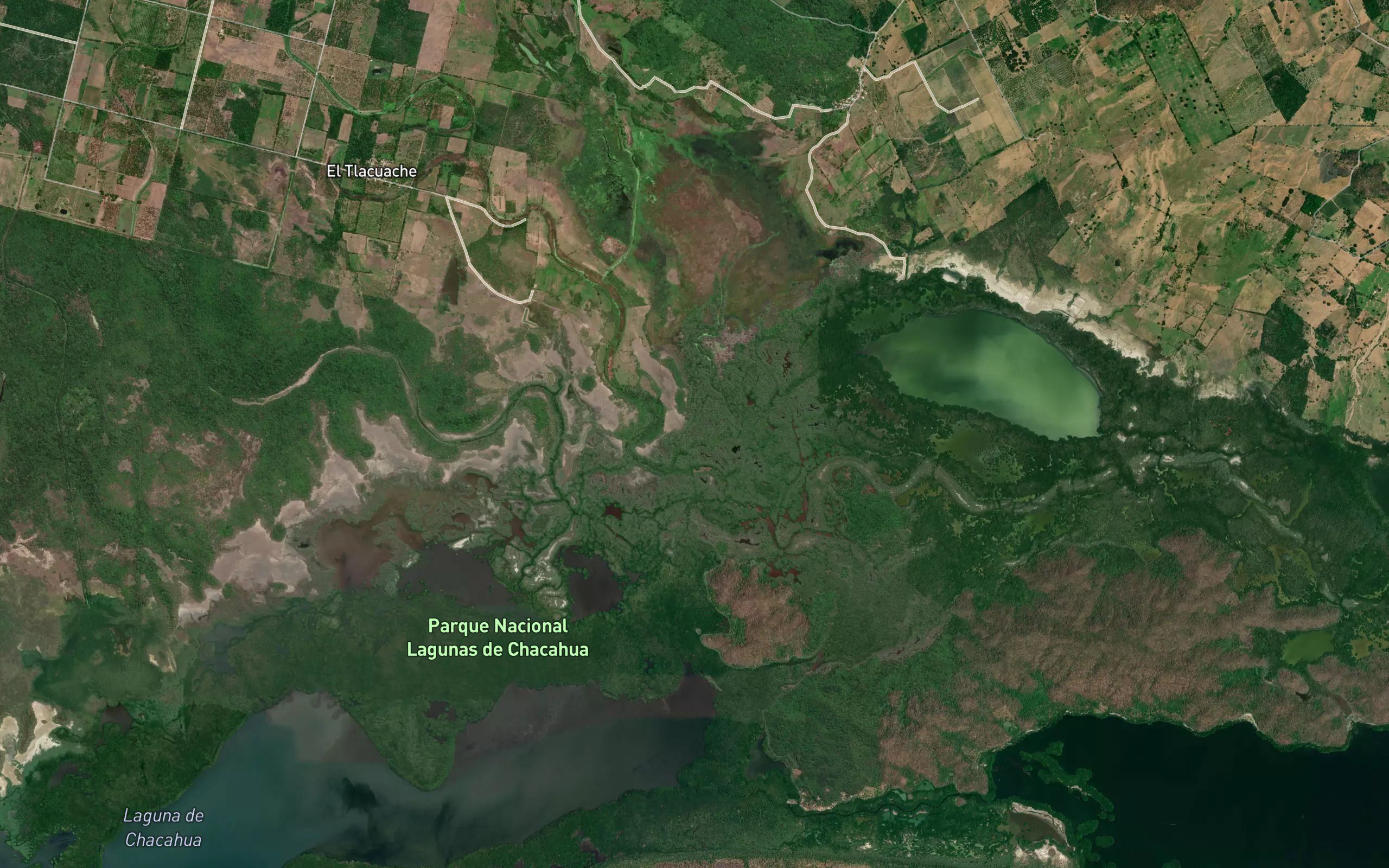 Laguna Palmarito