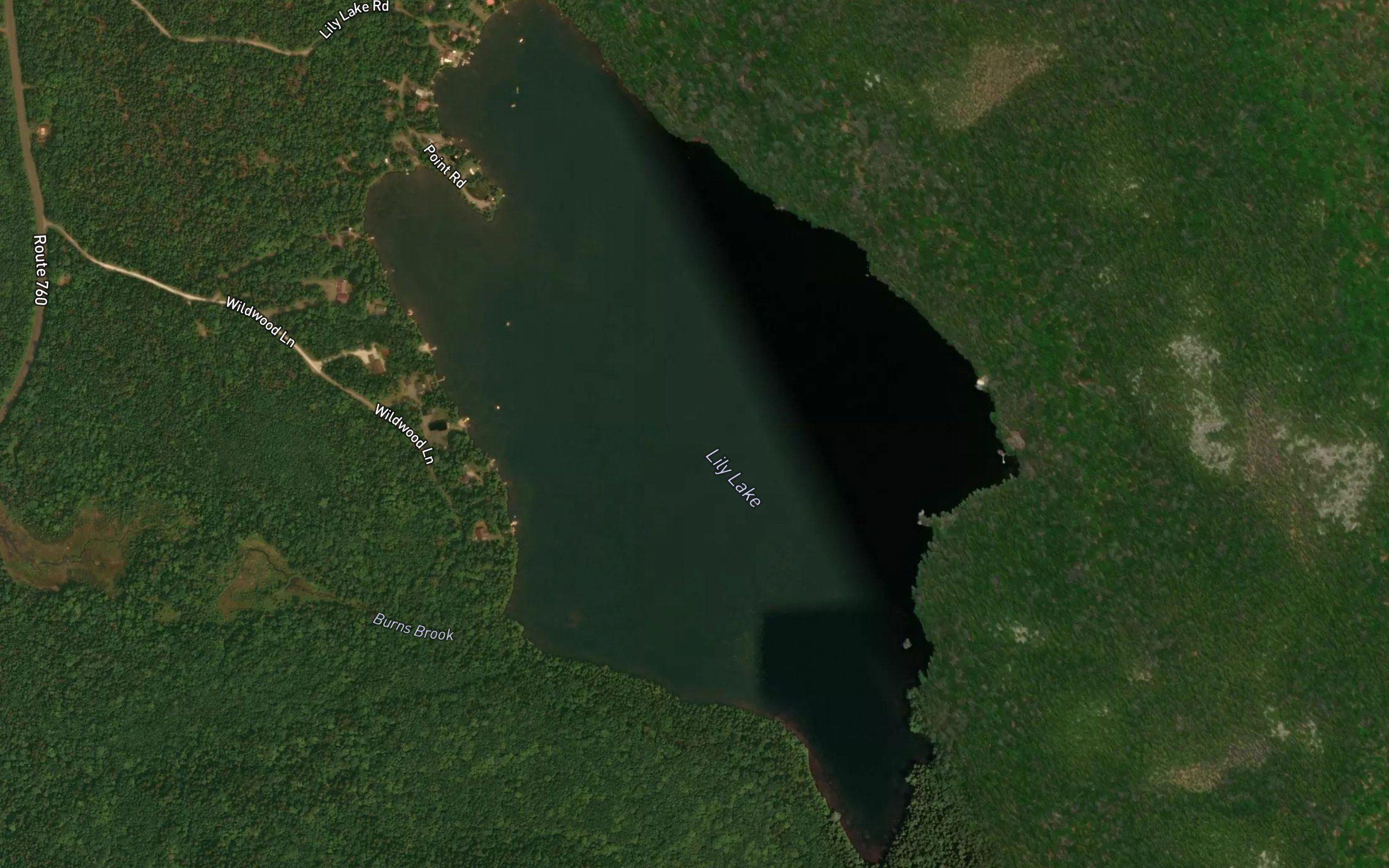 Lily Lake