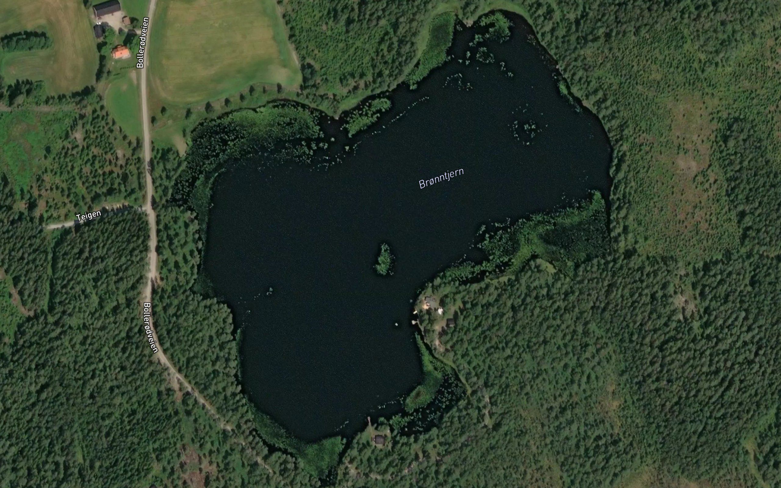 Bronntjern