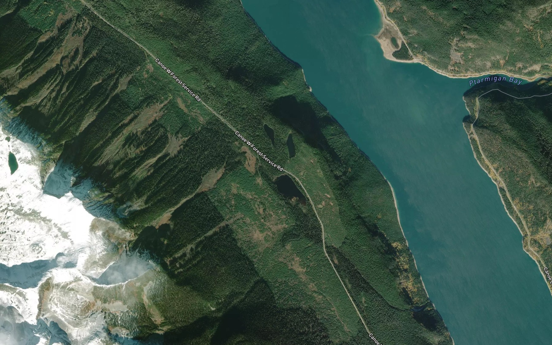 Satellite map of the Saddle Lakes