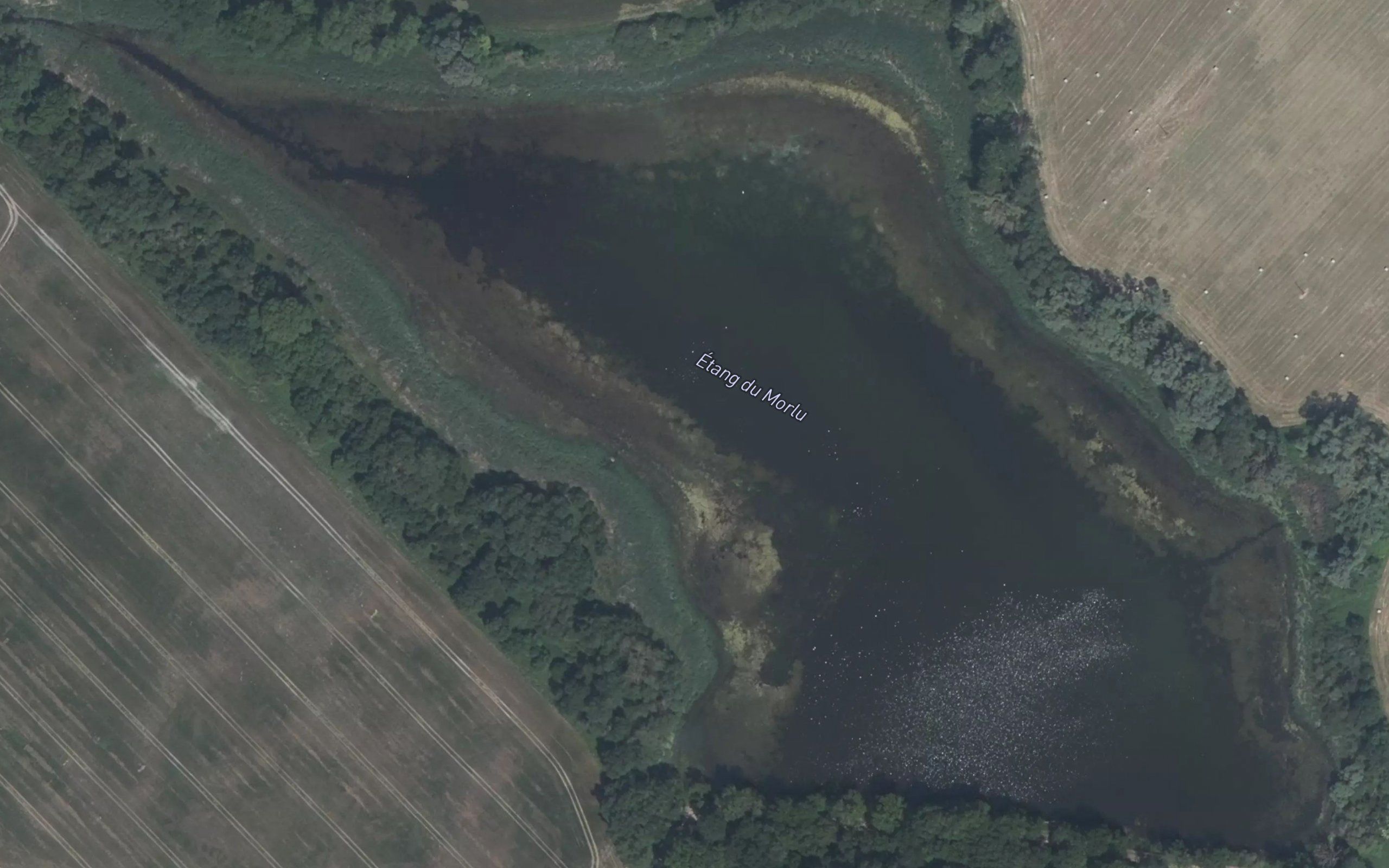 Etang de Morlu