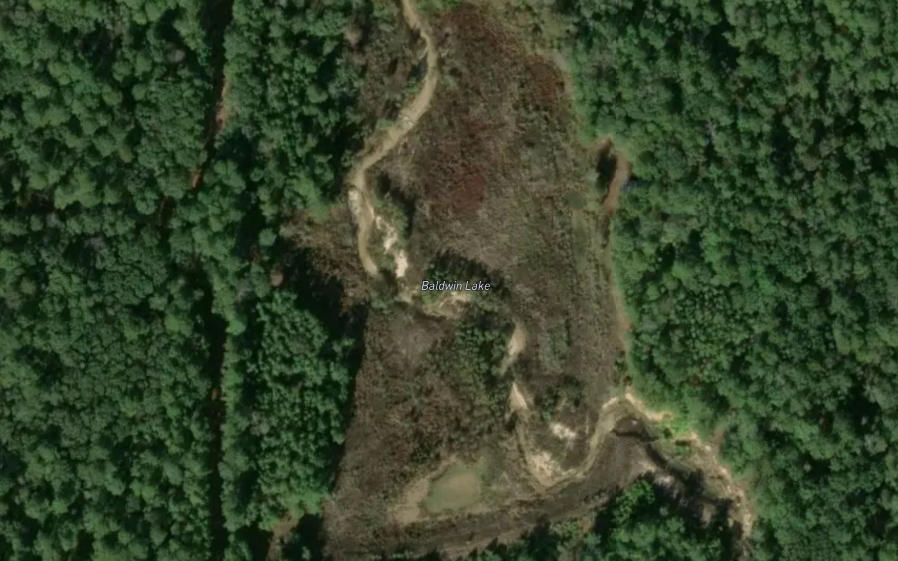 Satellite map of the Baldwin Lake