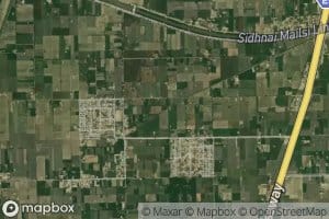 Jungle One Left Minor