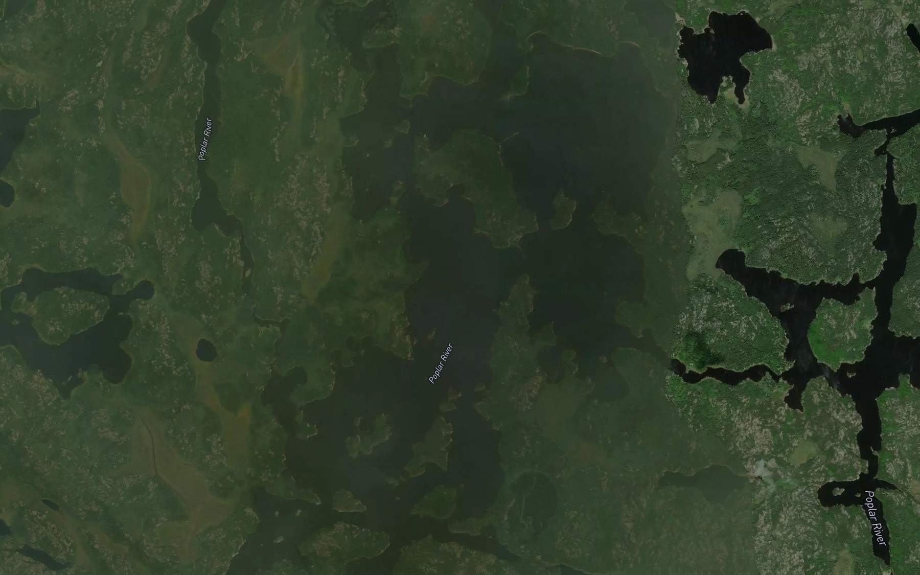 Satellite map of the Rheaume Lake