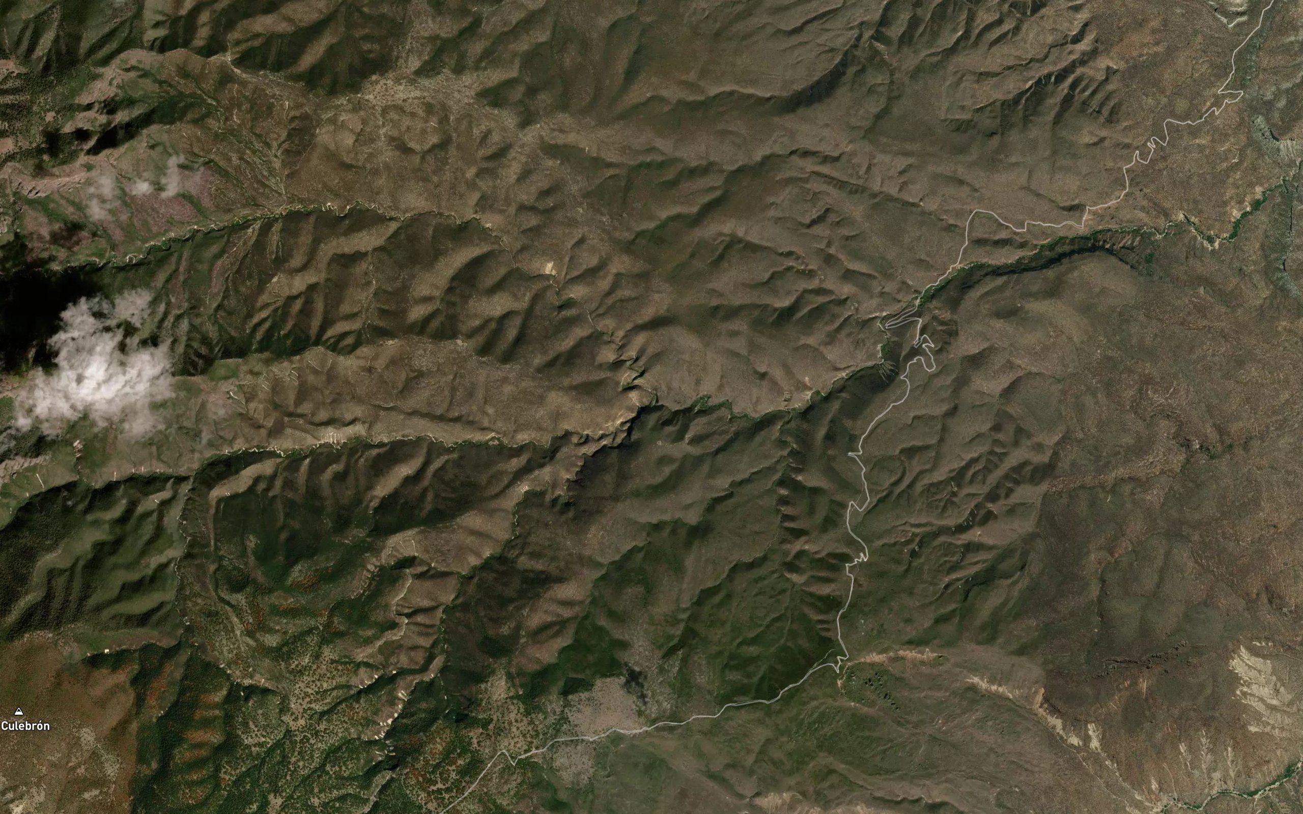 Carpintero
