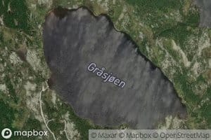 Grasjoen