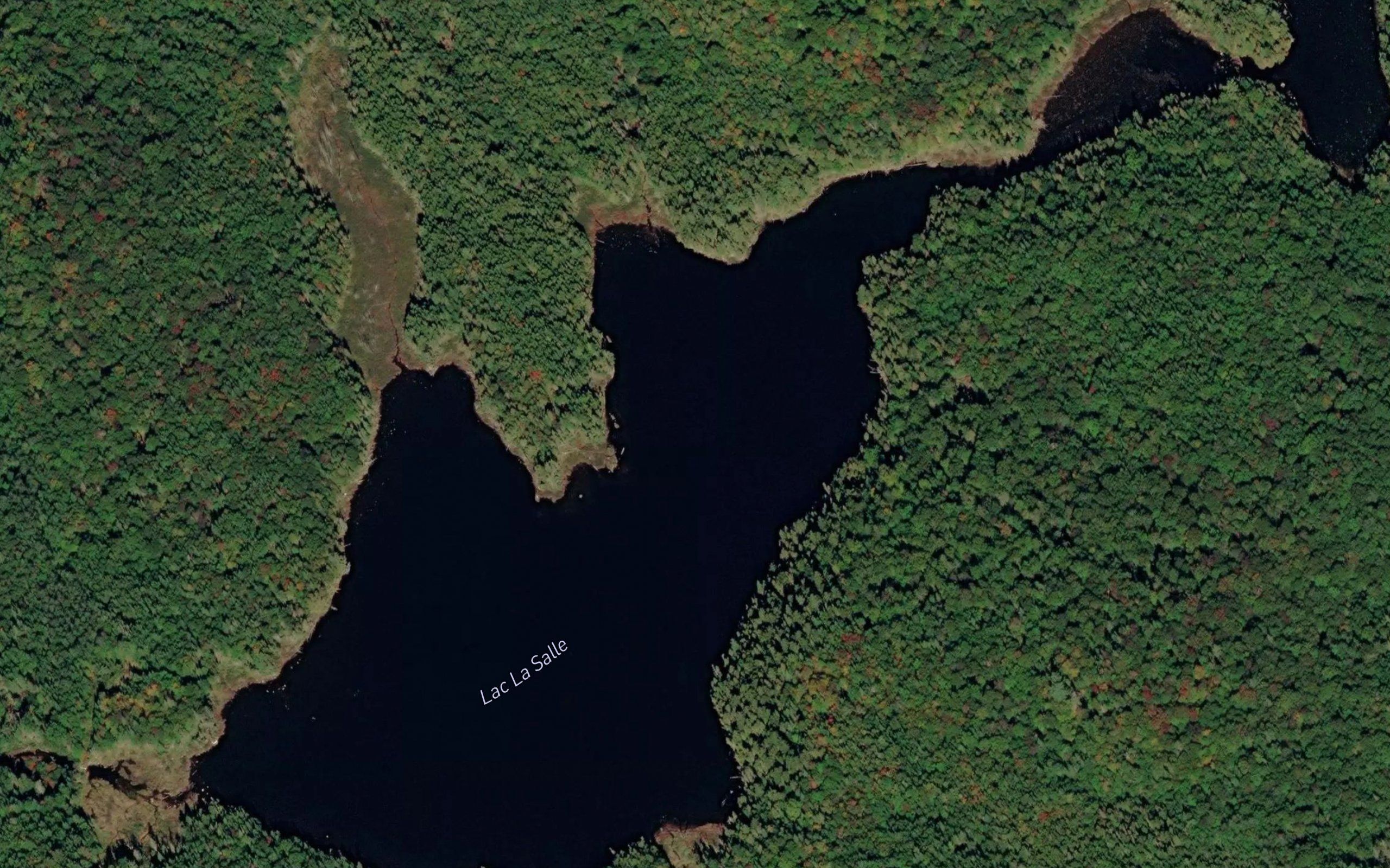 Lac aux Pins