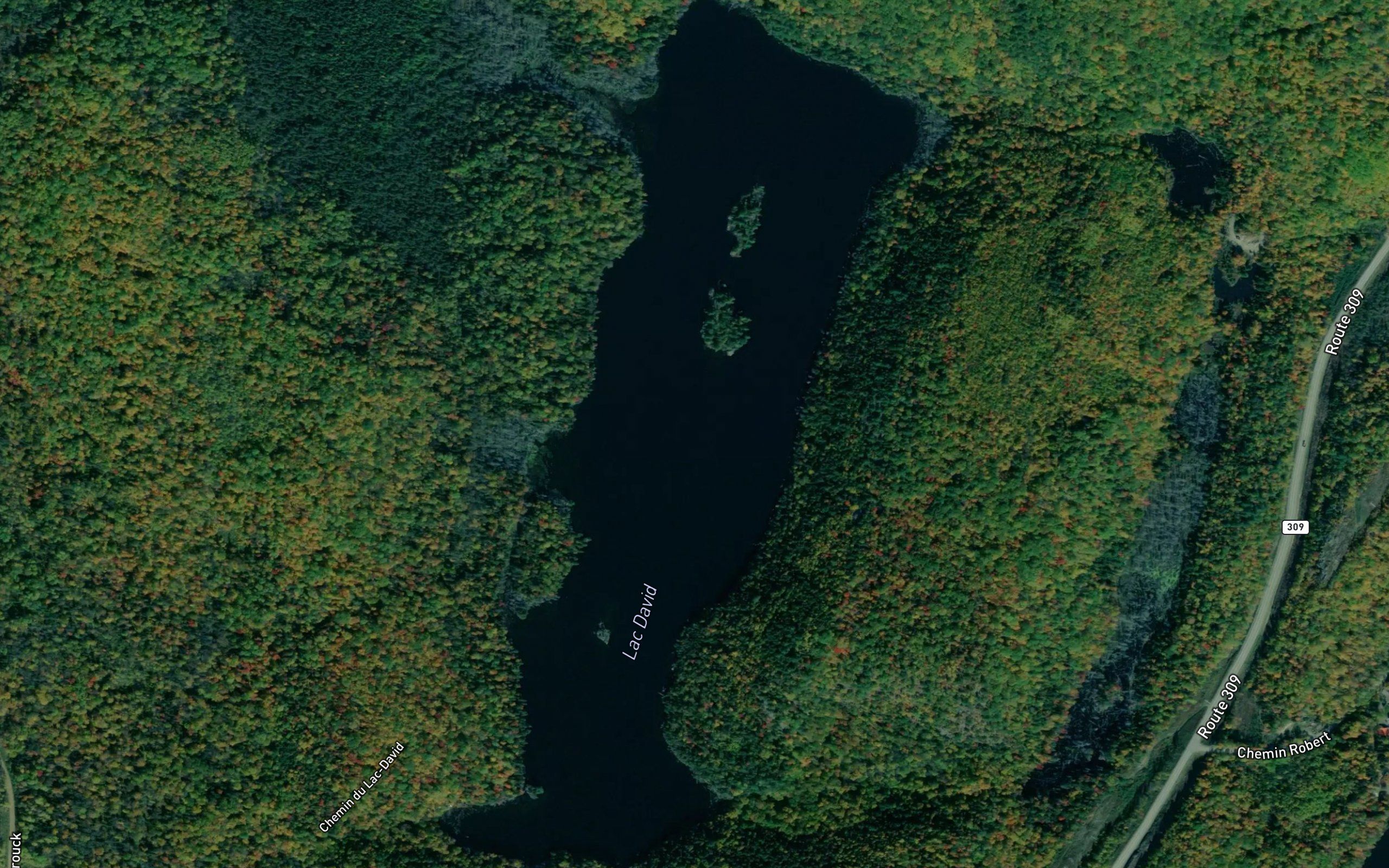 Lac David