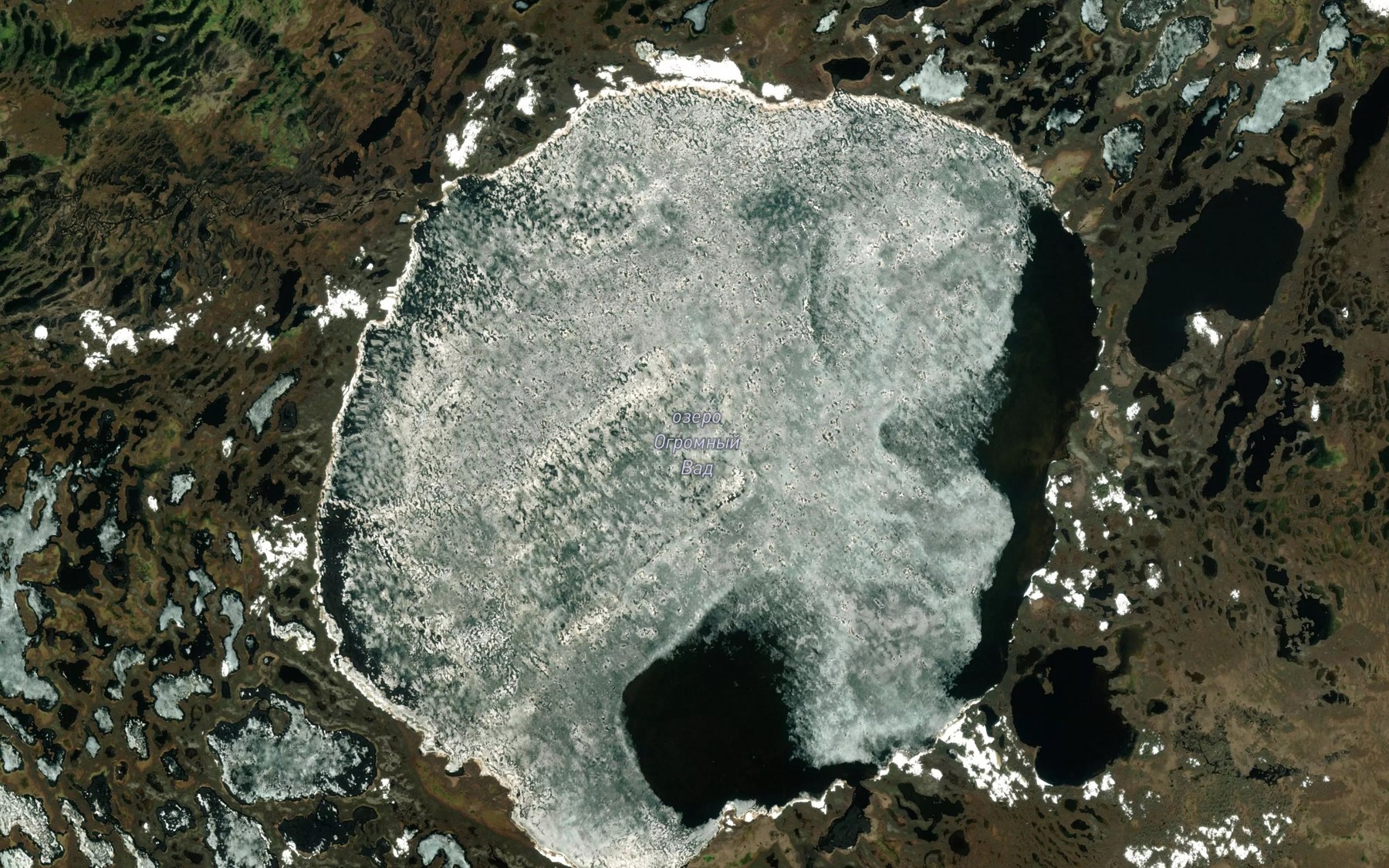 Satellite map of the Ozero Ogromnyy Vad