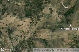 Segura Spring Number Seven