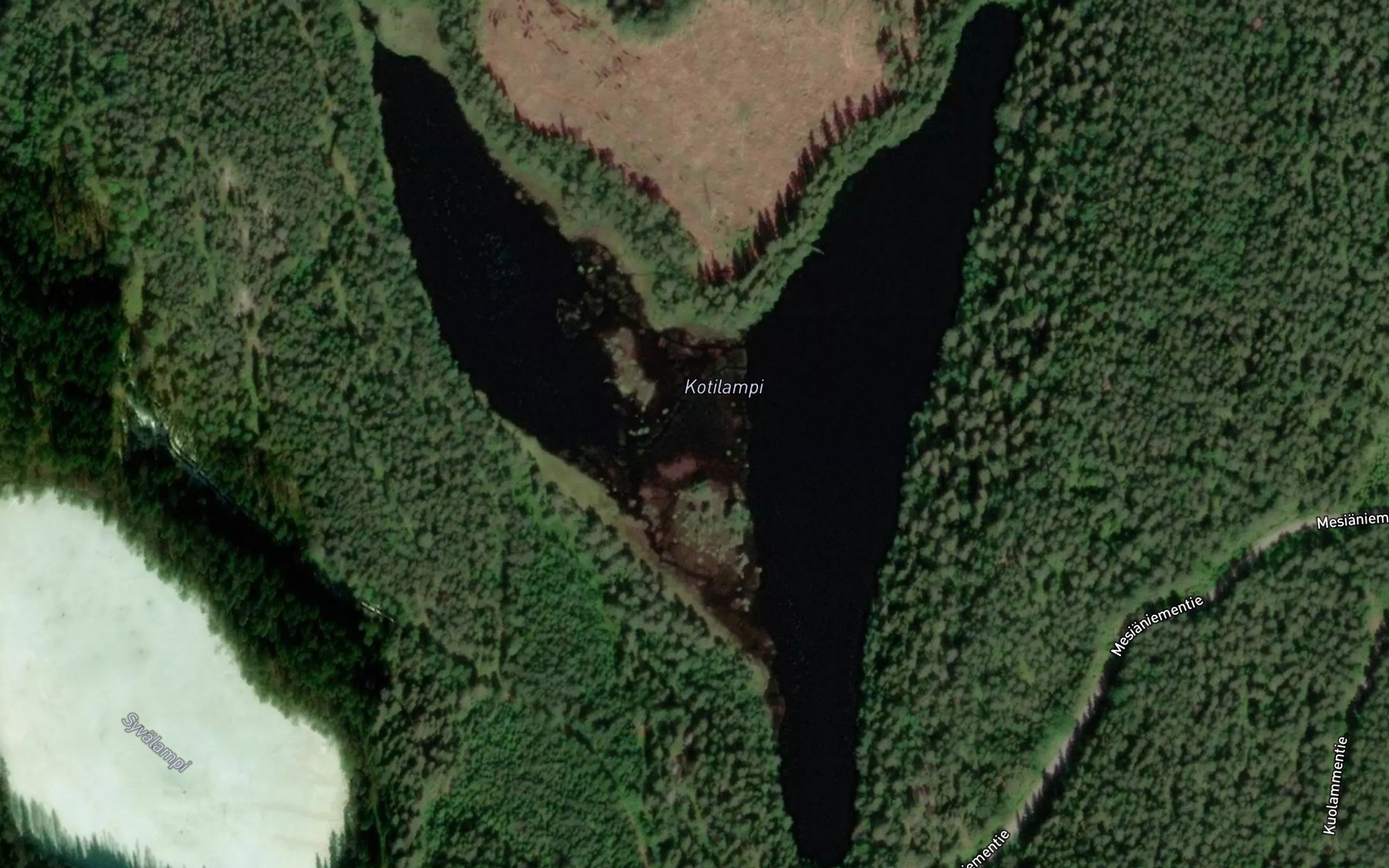 Satellite map of the Kotilampi