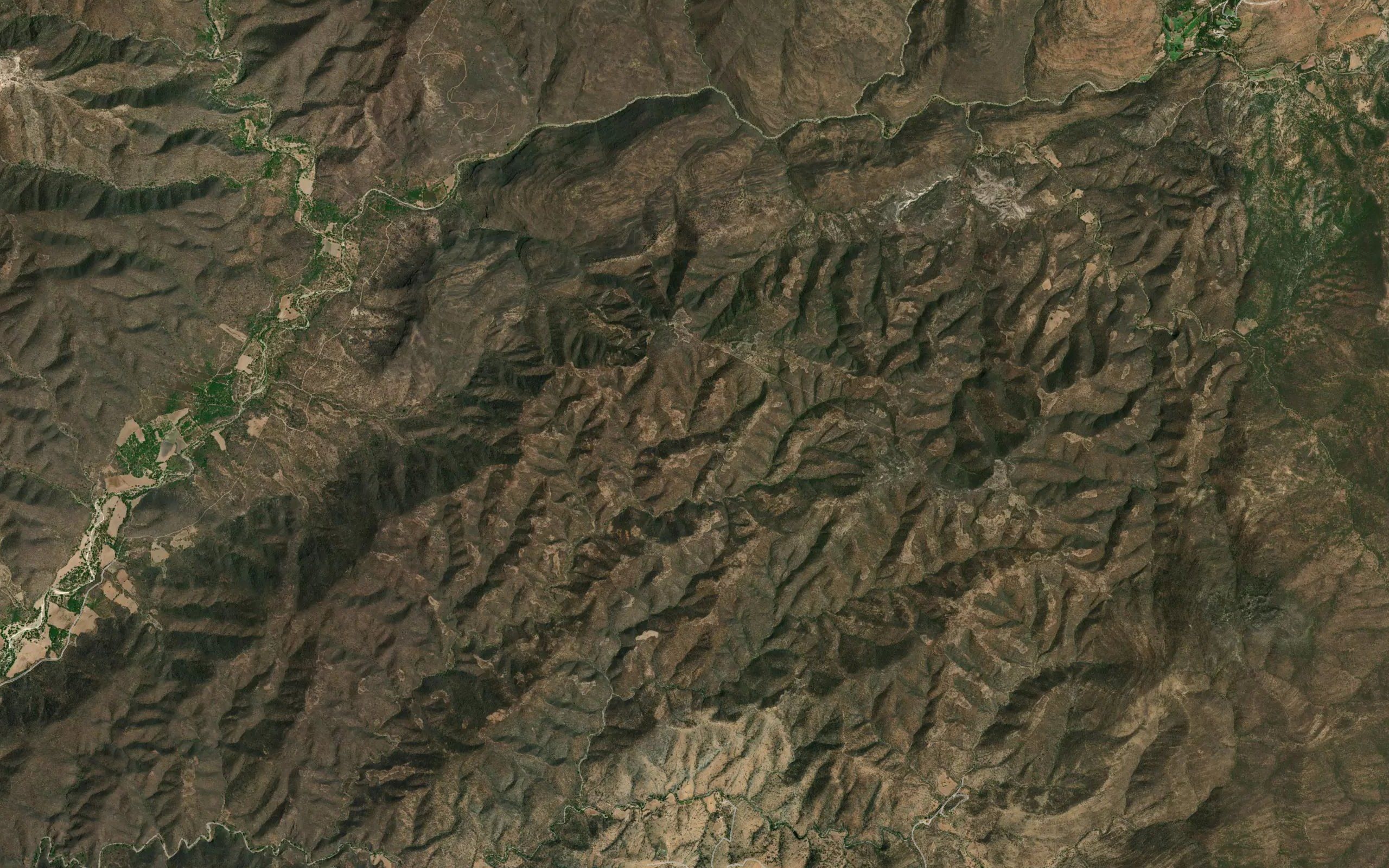 Guayabo