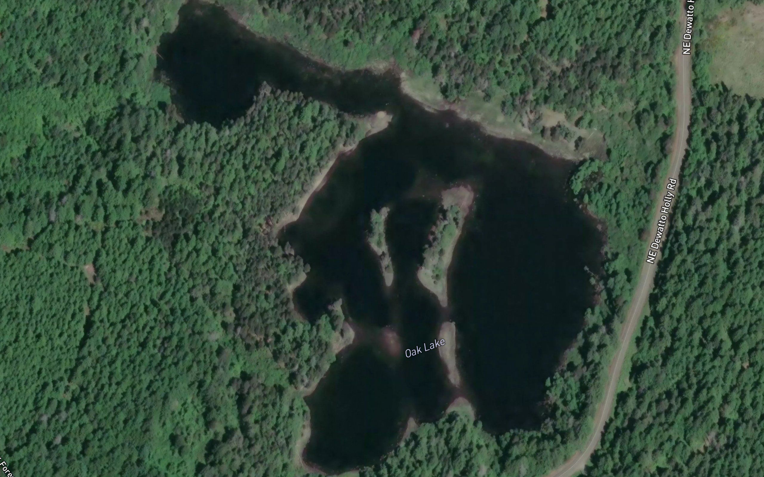Oak Lake