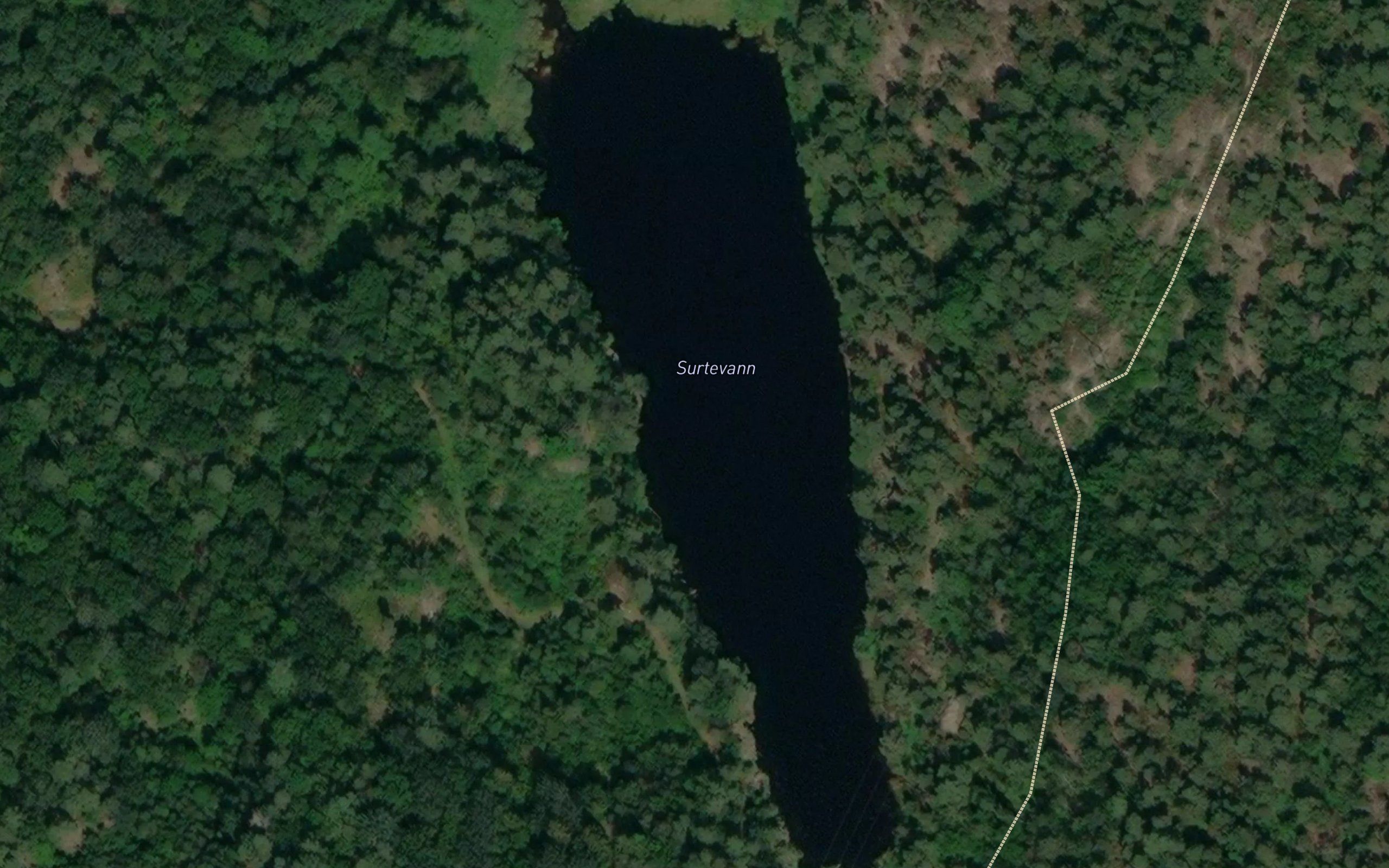 Surtevannet