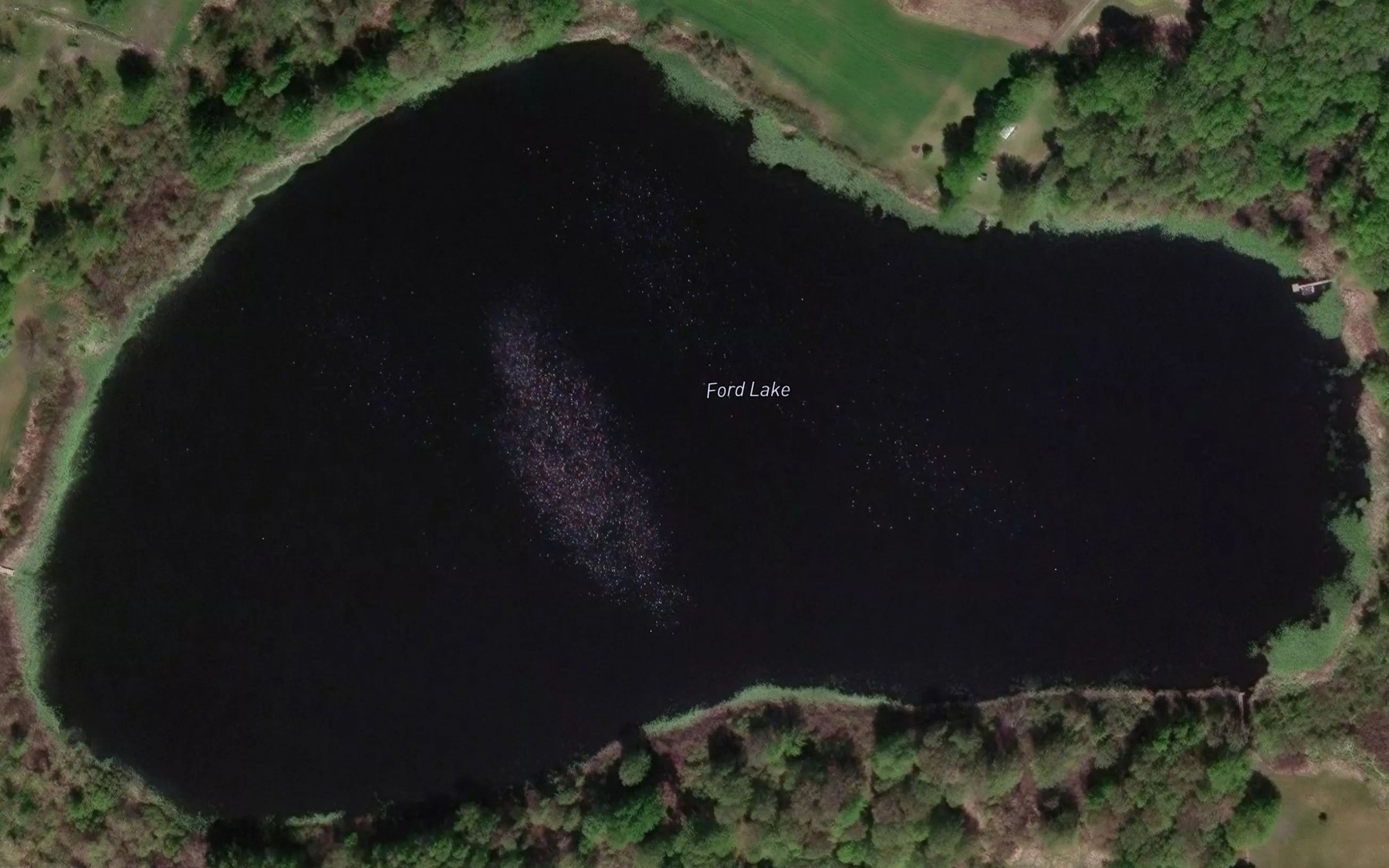 Satellite map of the Ford Lake