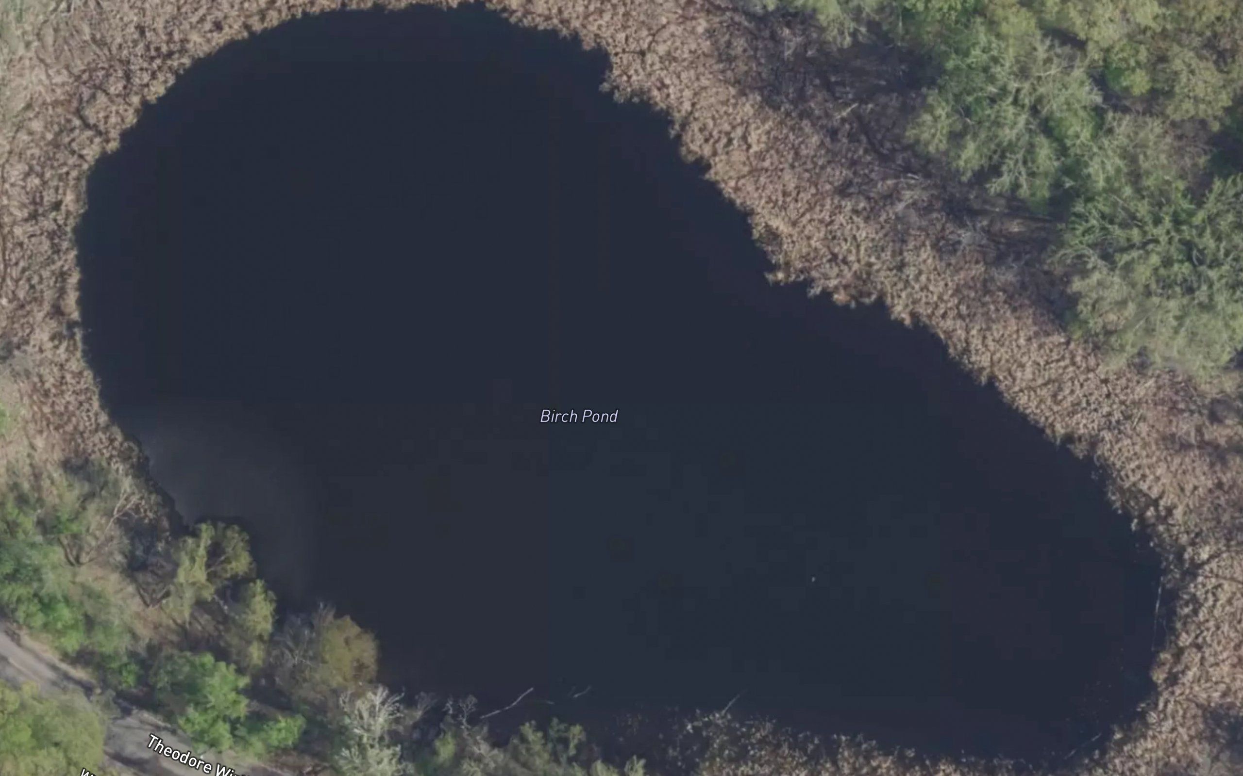 Birch Pond