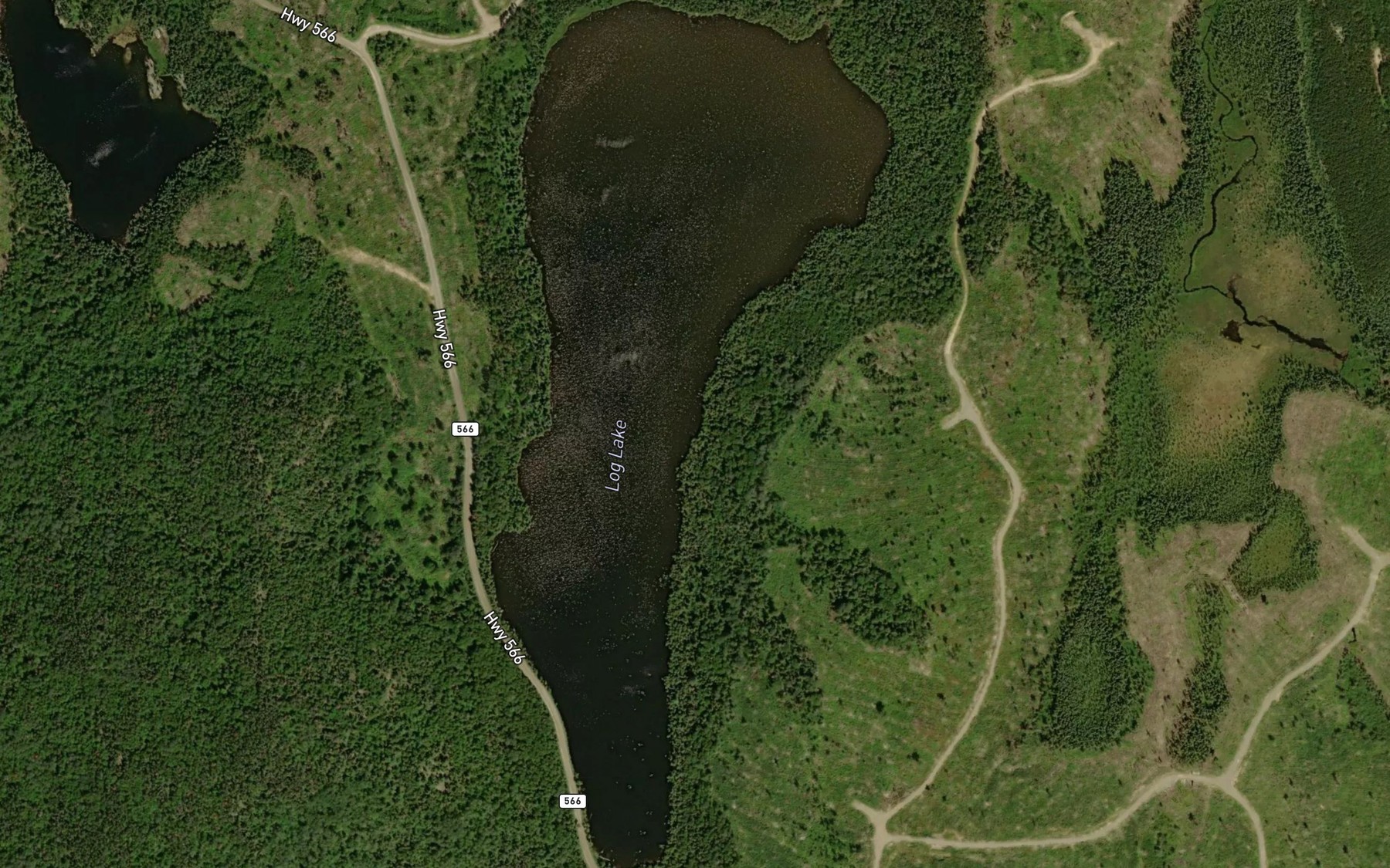 Satellite map of the Log Lake