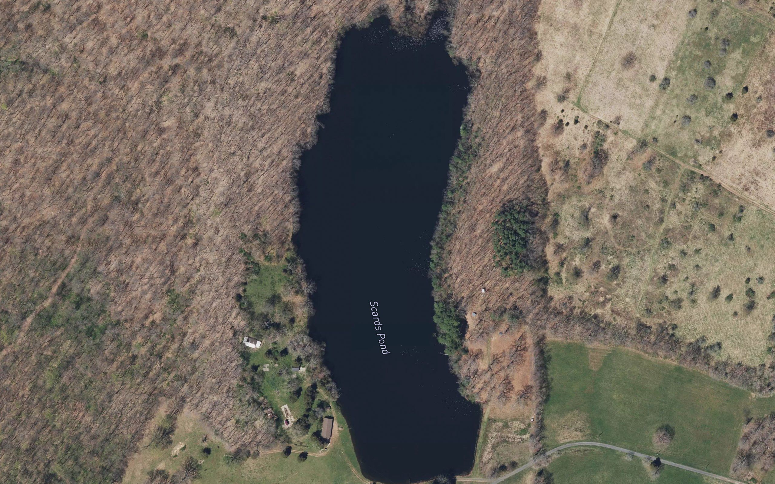 Scards Pond