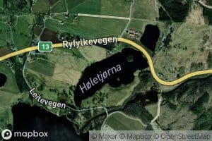Holetjorna