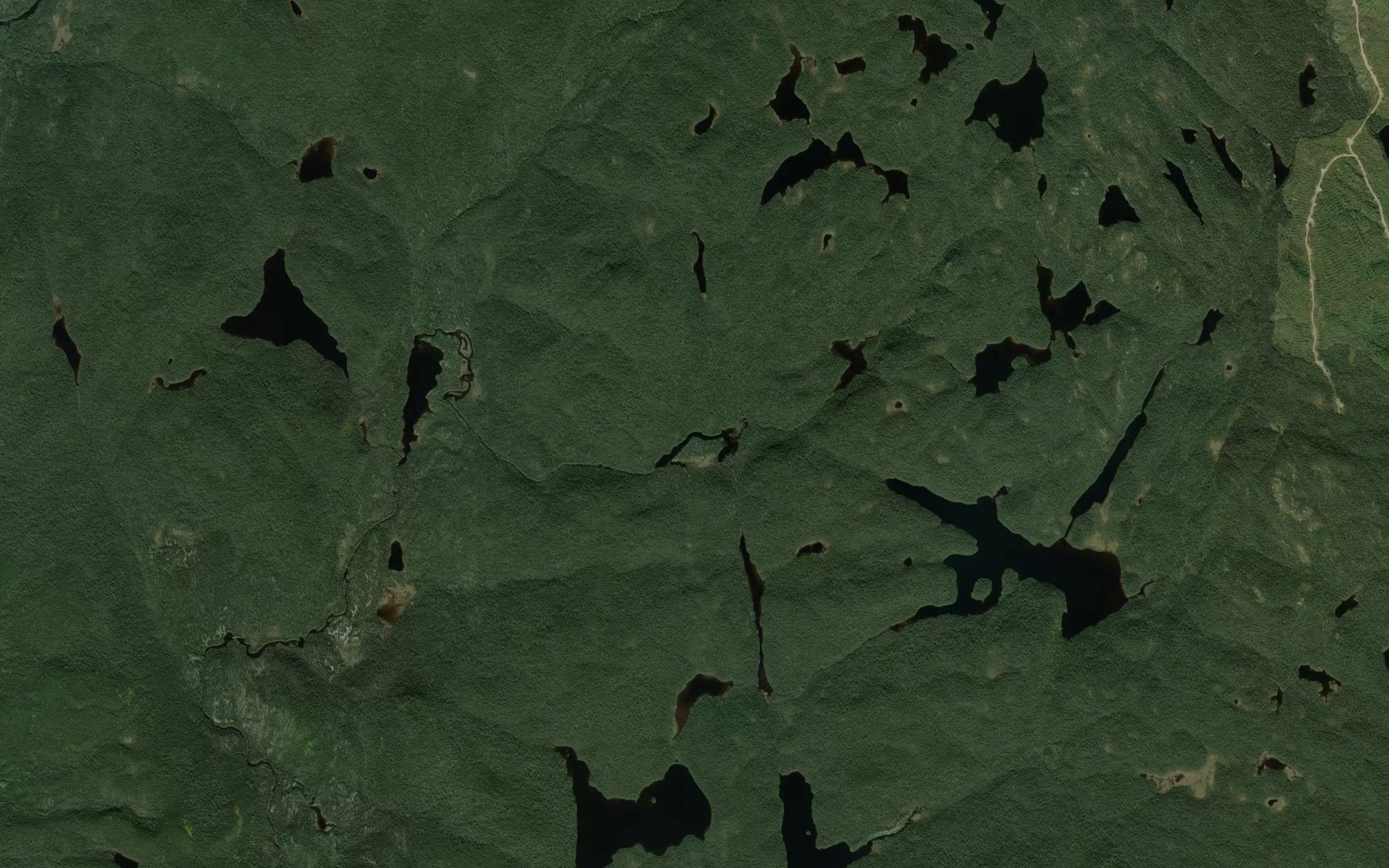 Satellite map of the Lac du Memo