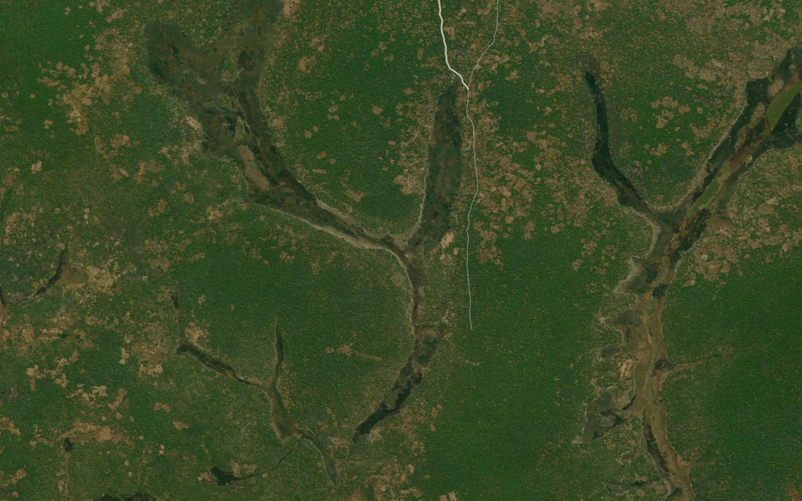 Kanyala