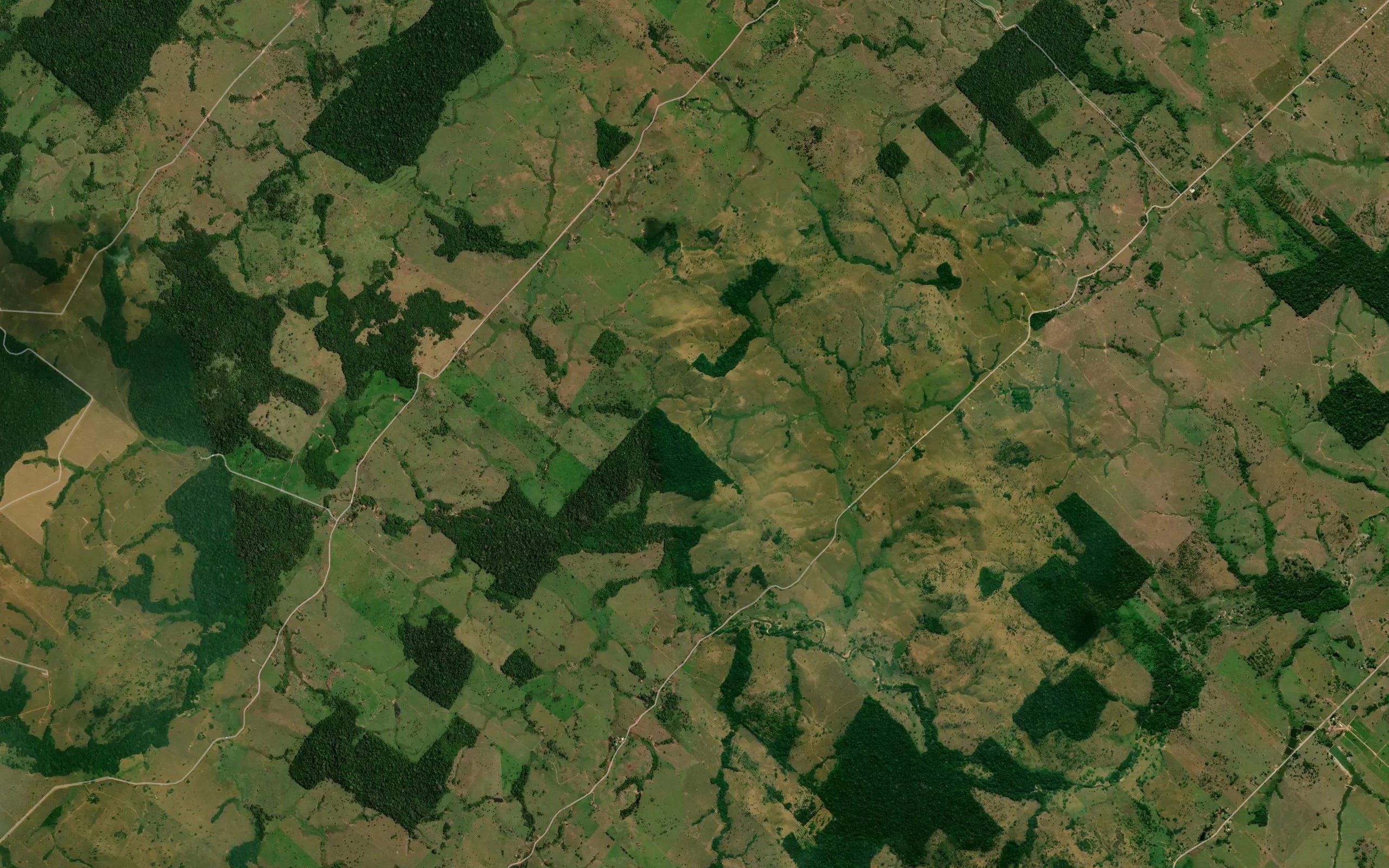 Igarape Santa Rosa