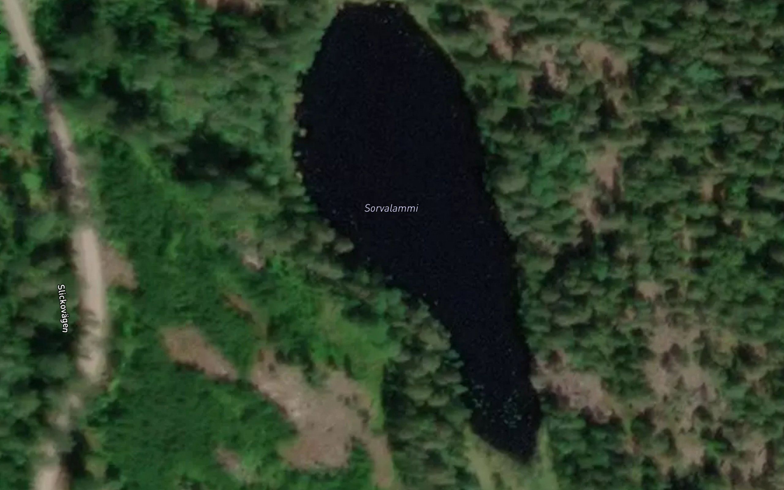 Sorvalammi