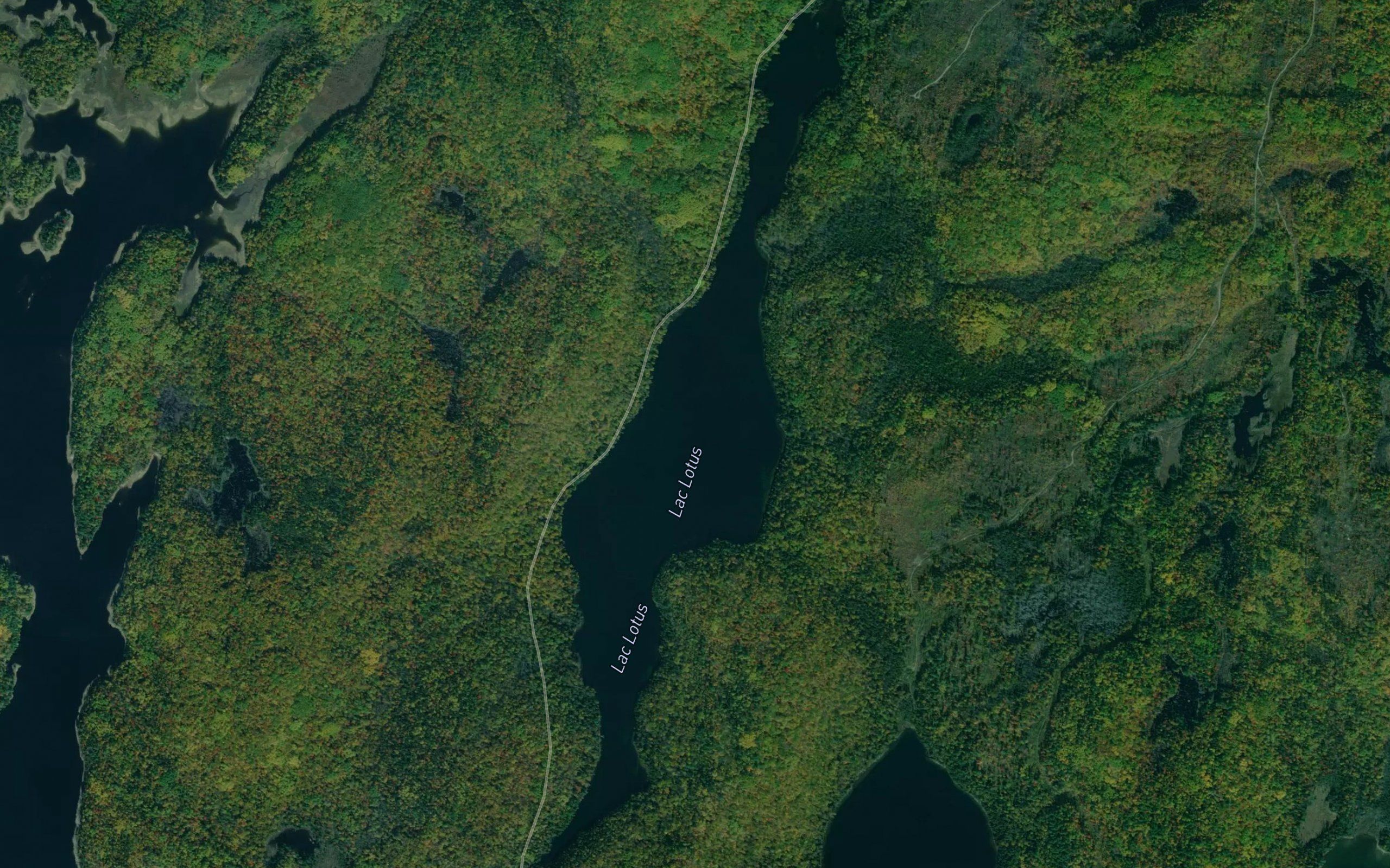 Lac Lotus