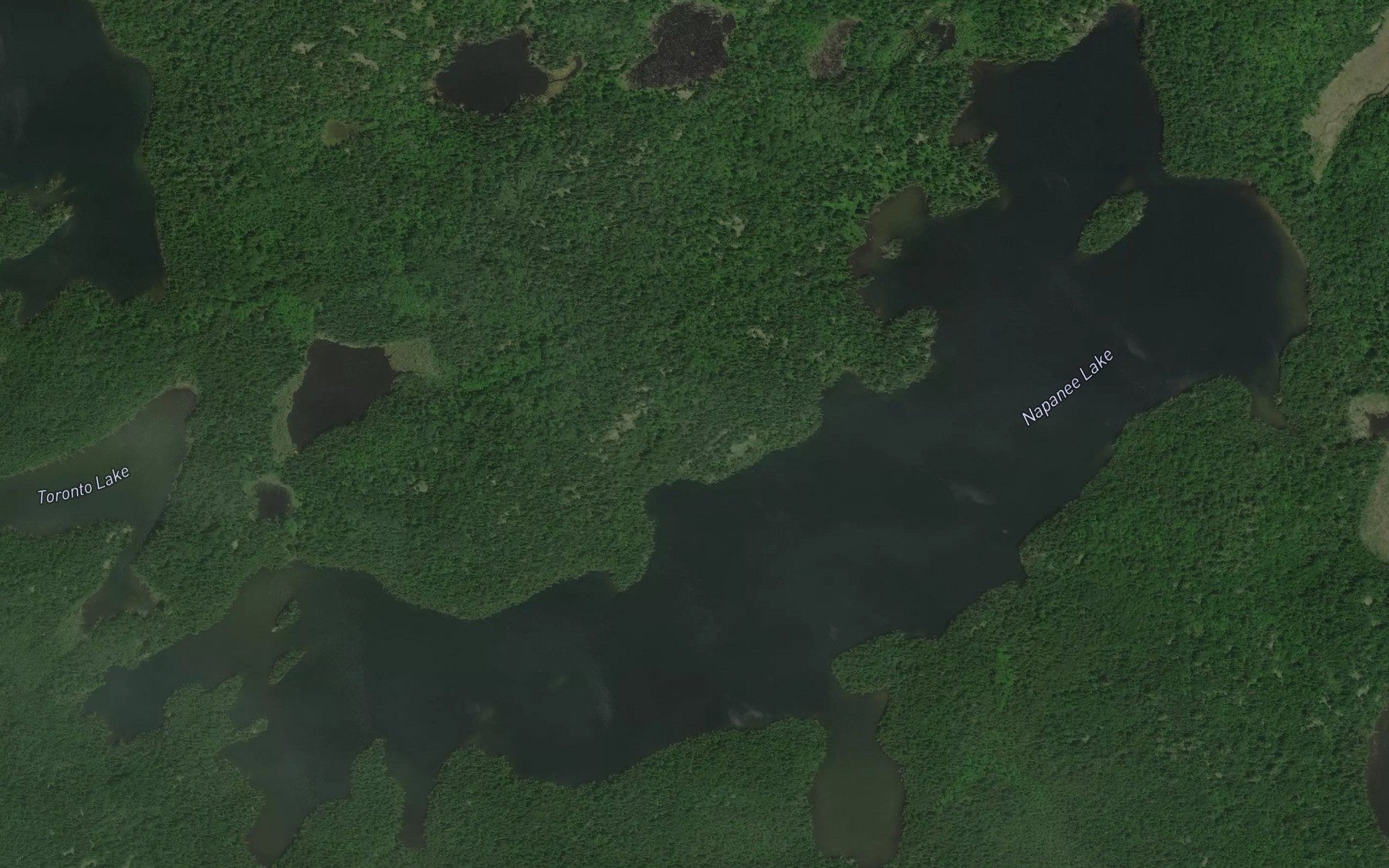 Satellite map of the Napanee Lake