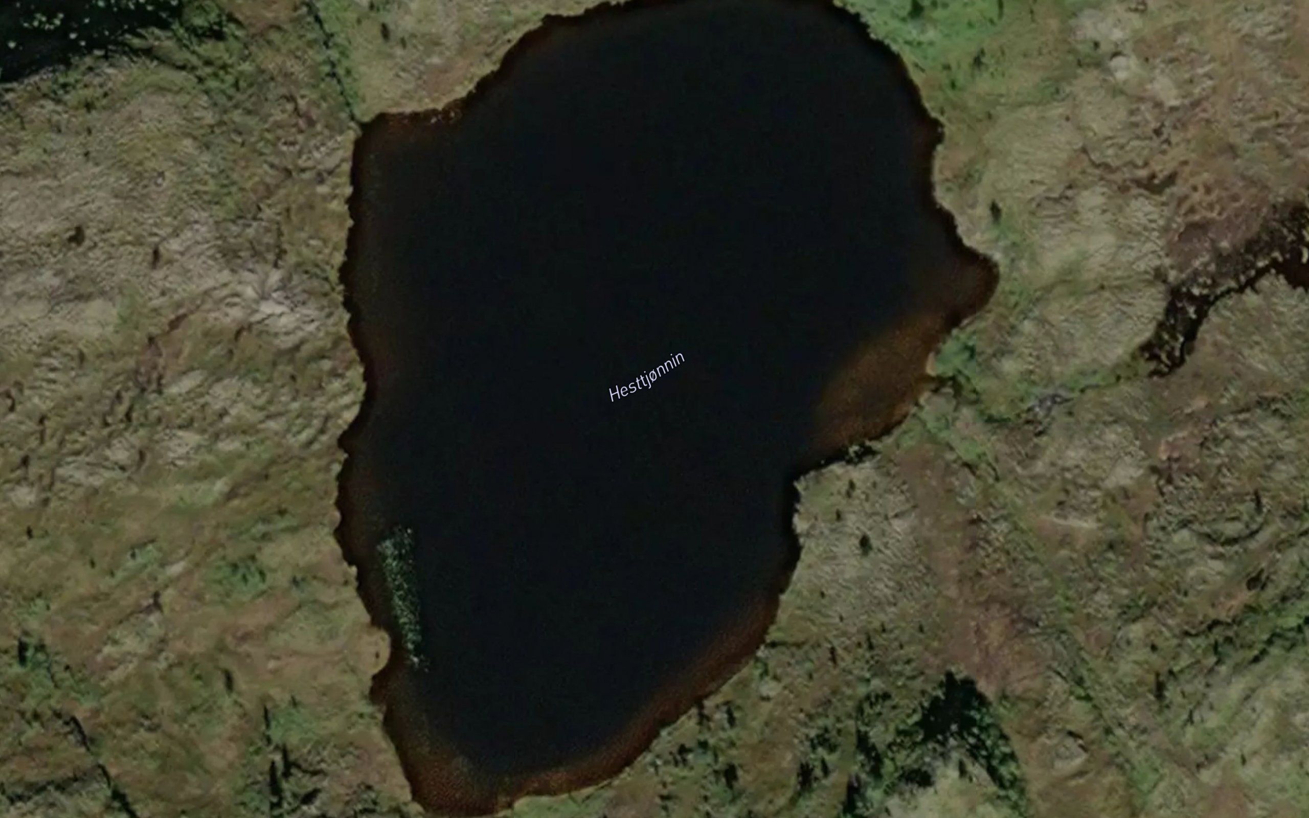 Hestjornin