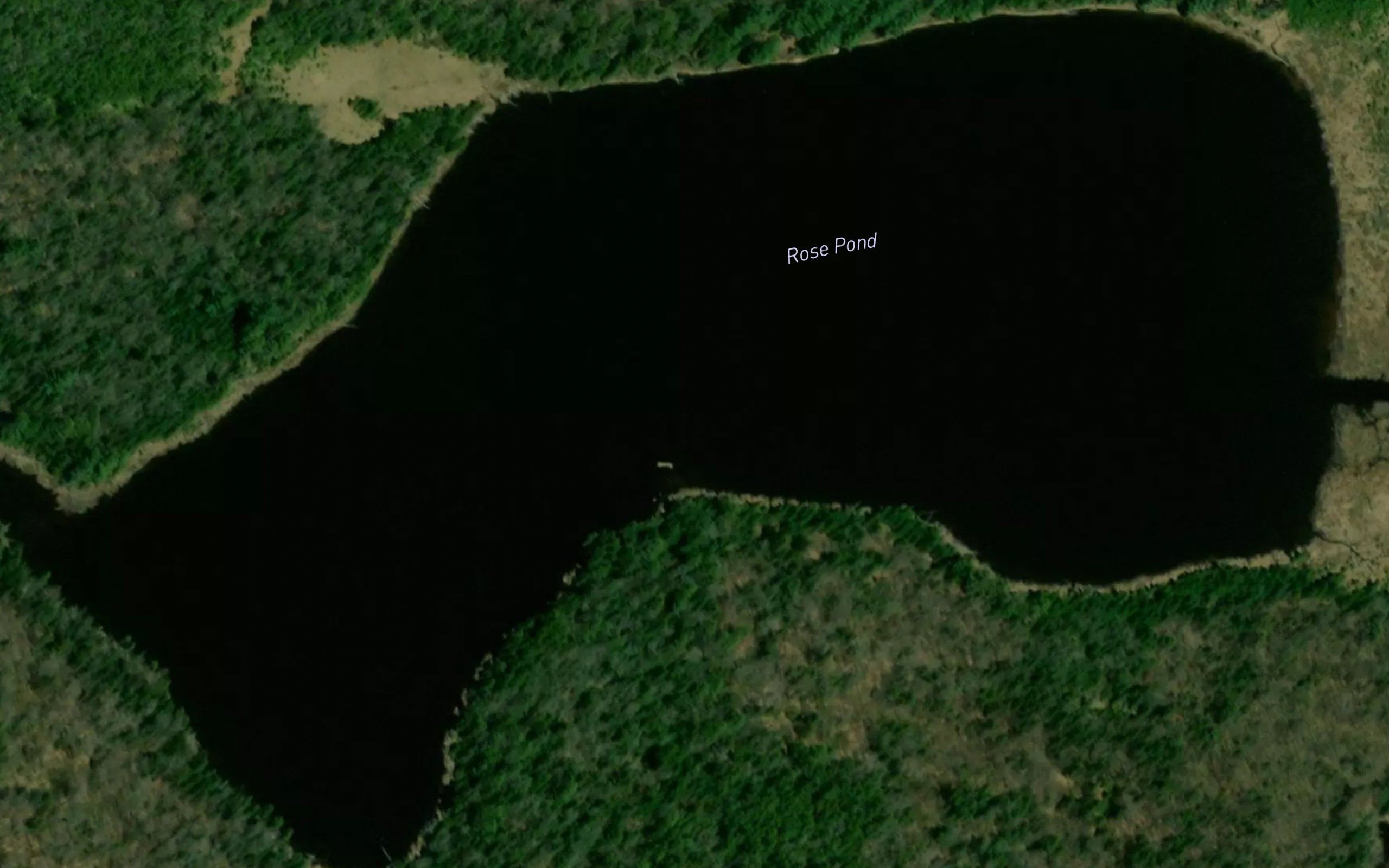Rose Pond
