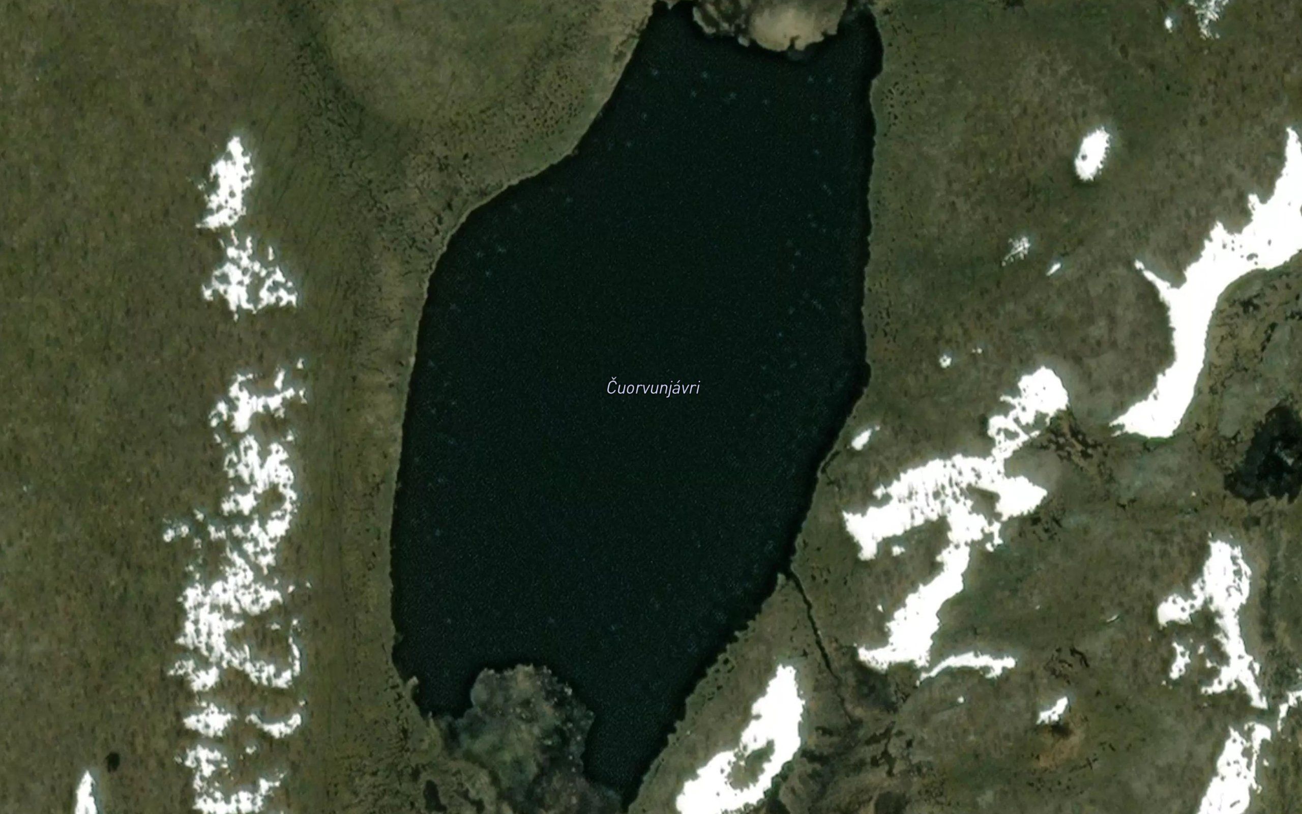 Cuorvonjavri