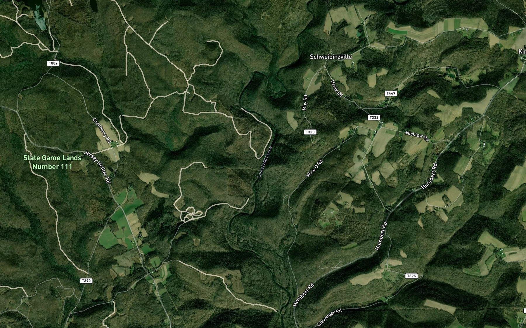 Satellite map of the Cranberry Glade Run